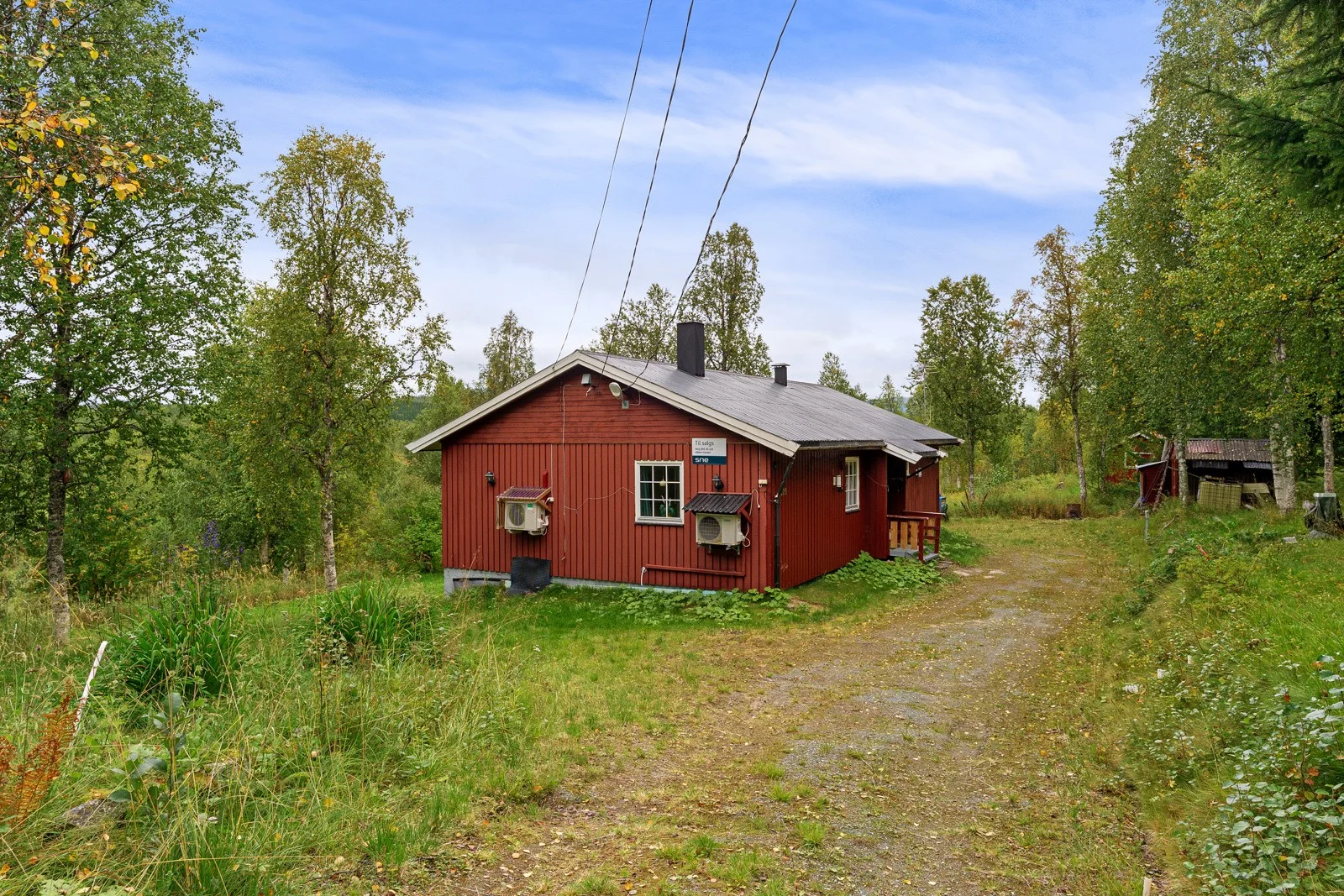 Photo 29