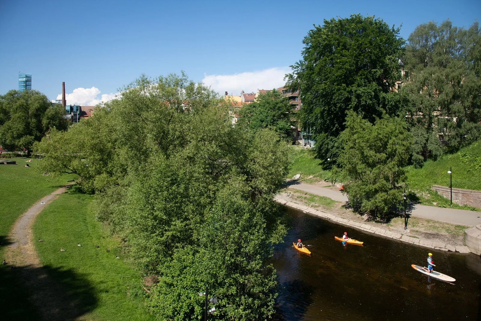 Photo 40
