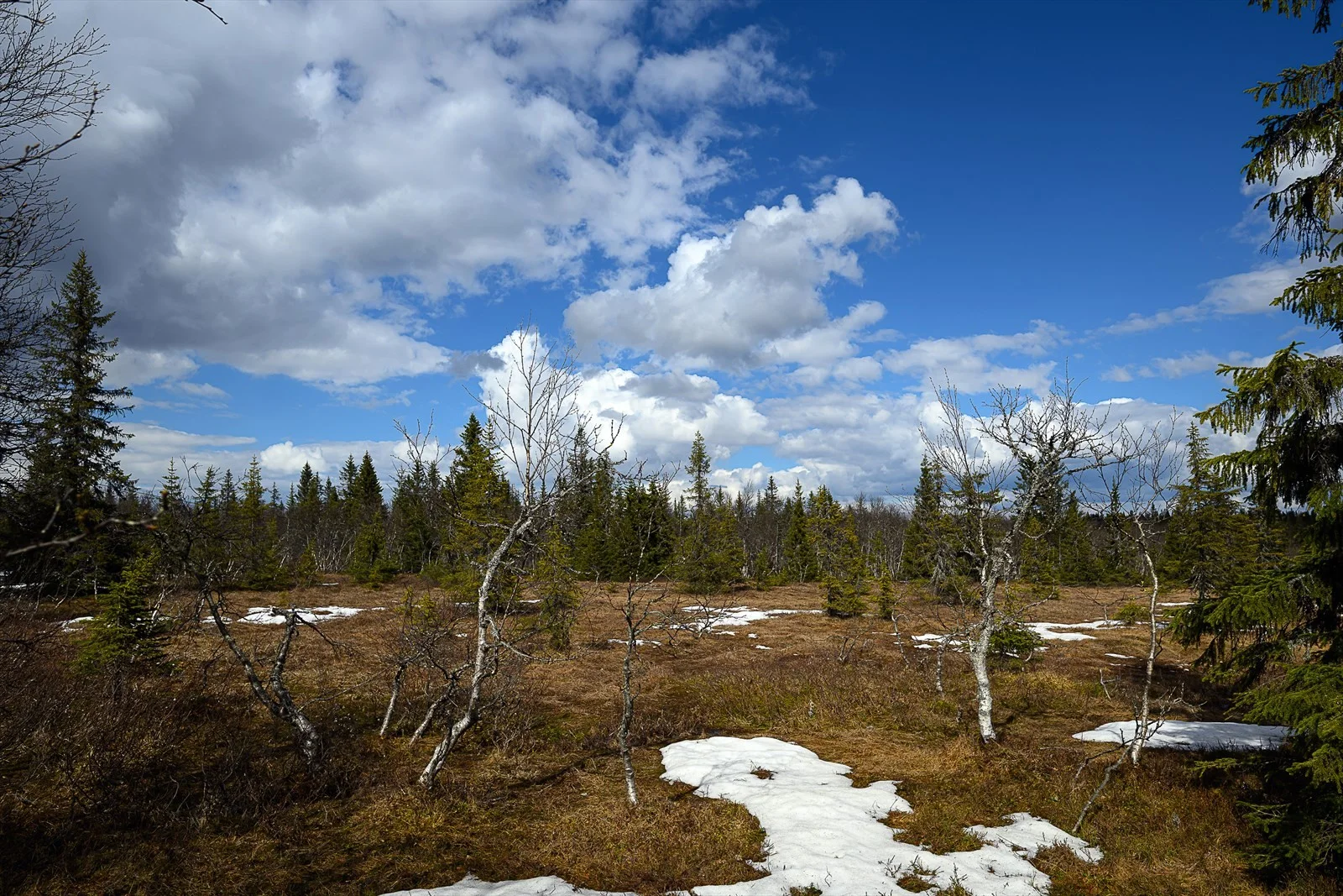 Photo 35