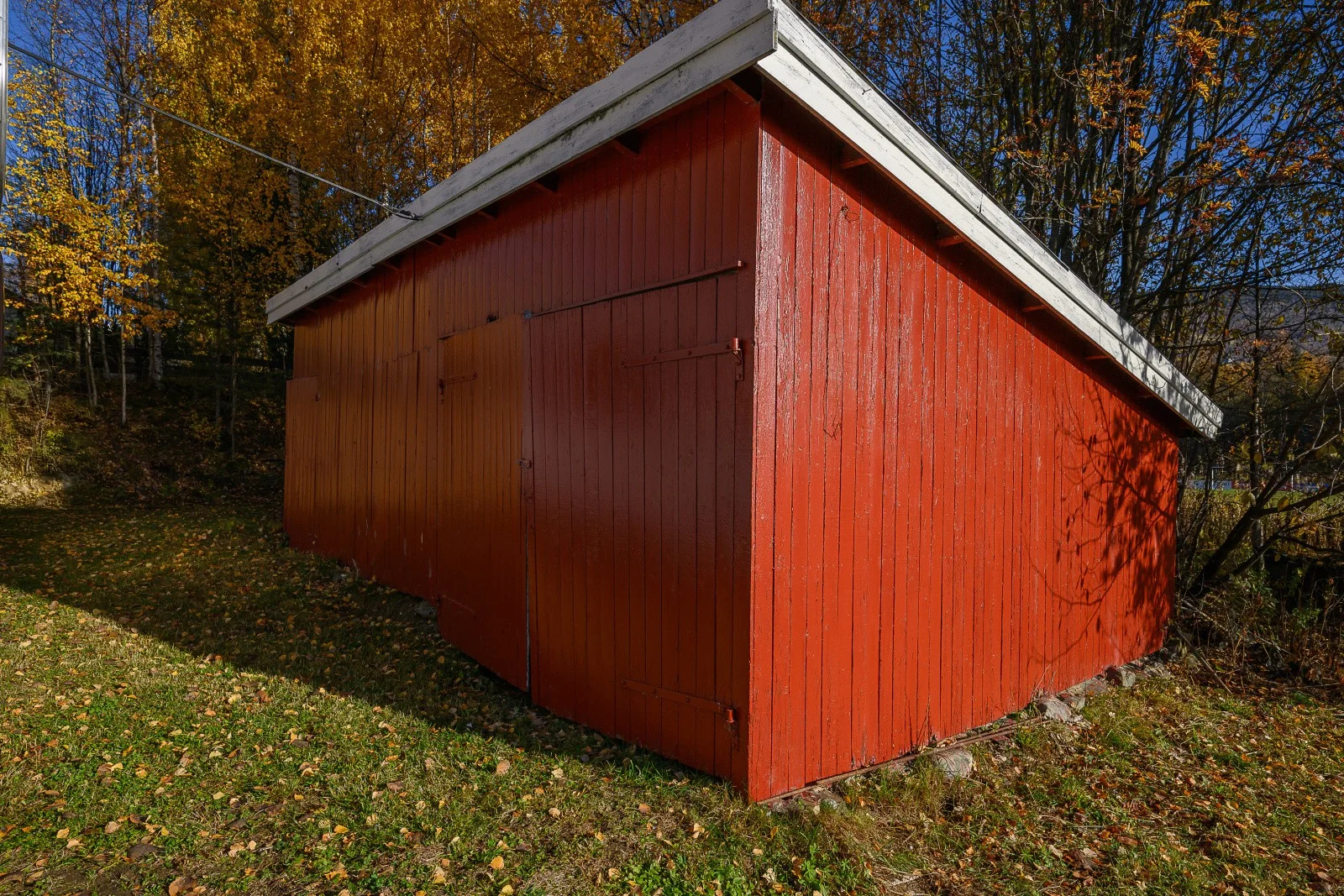 Photo 7