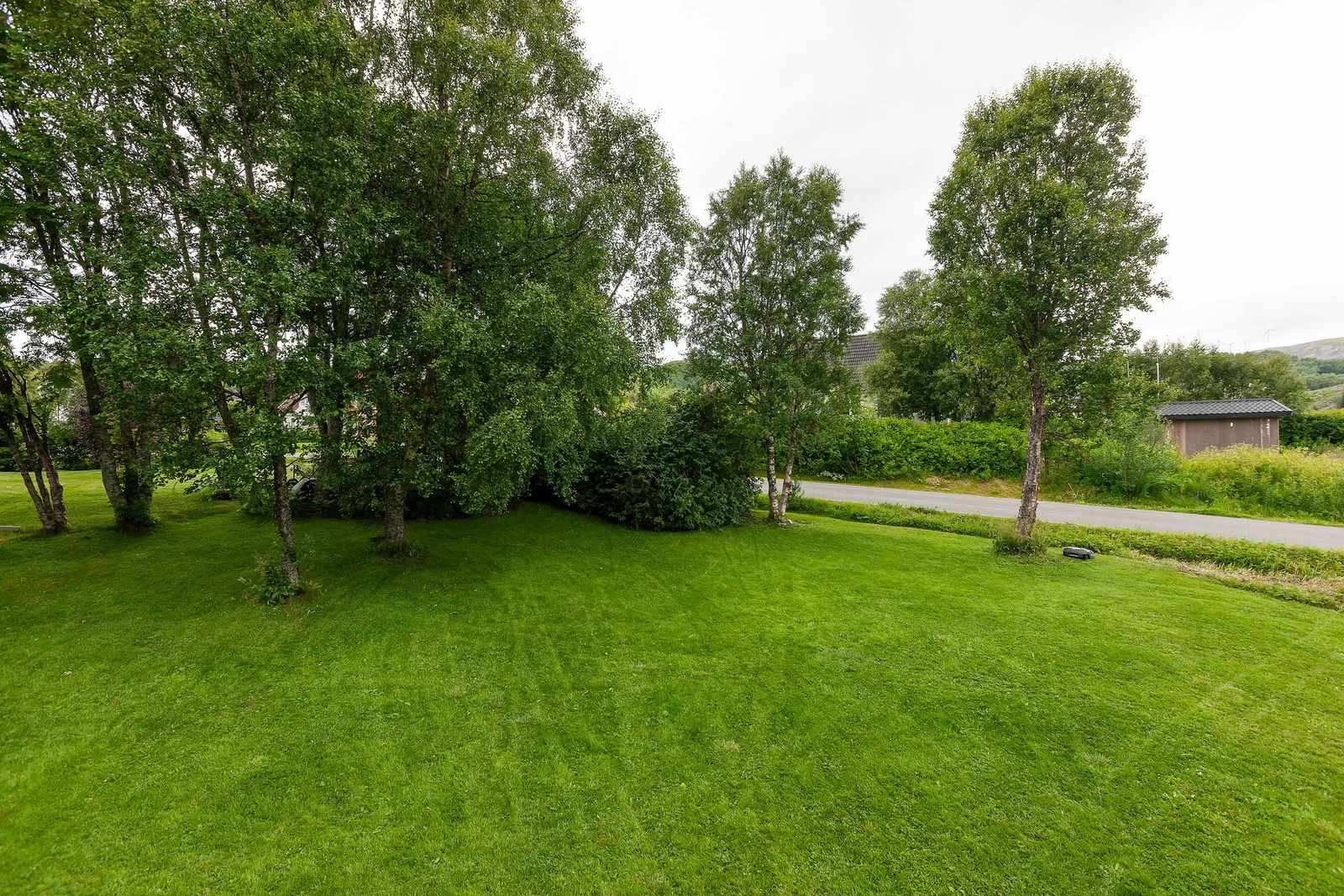 Photo 40