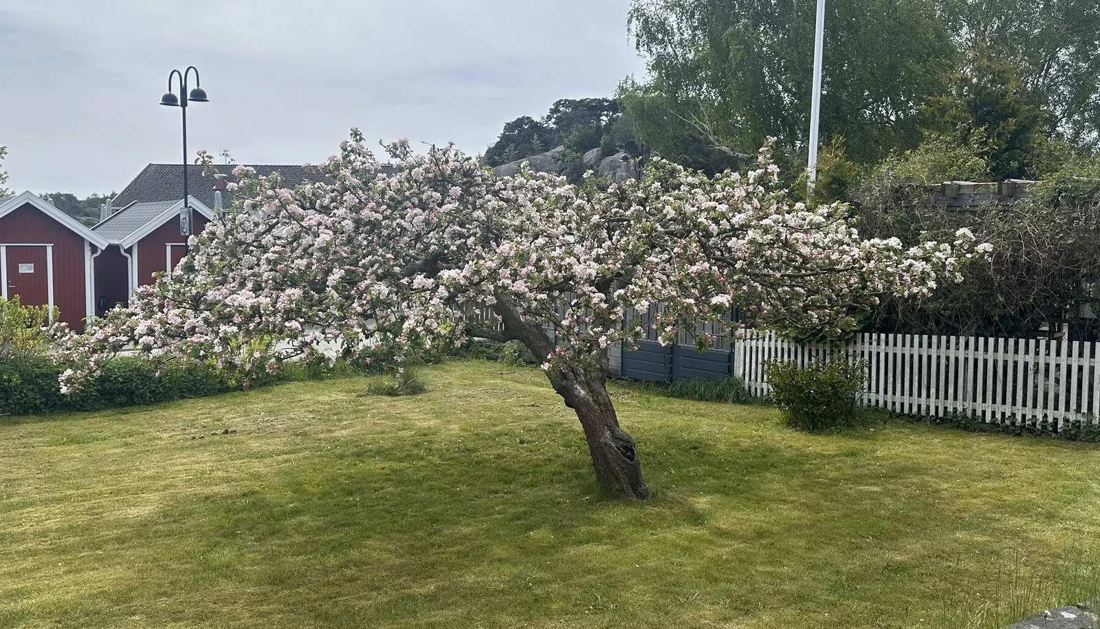 Photo 20