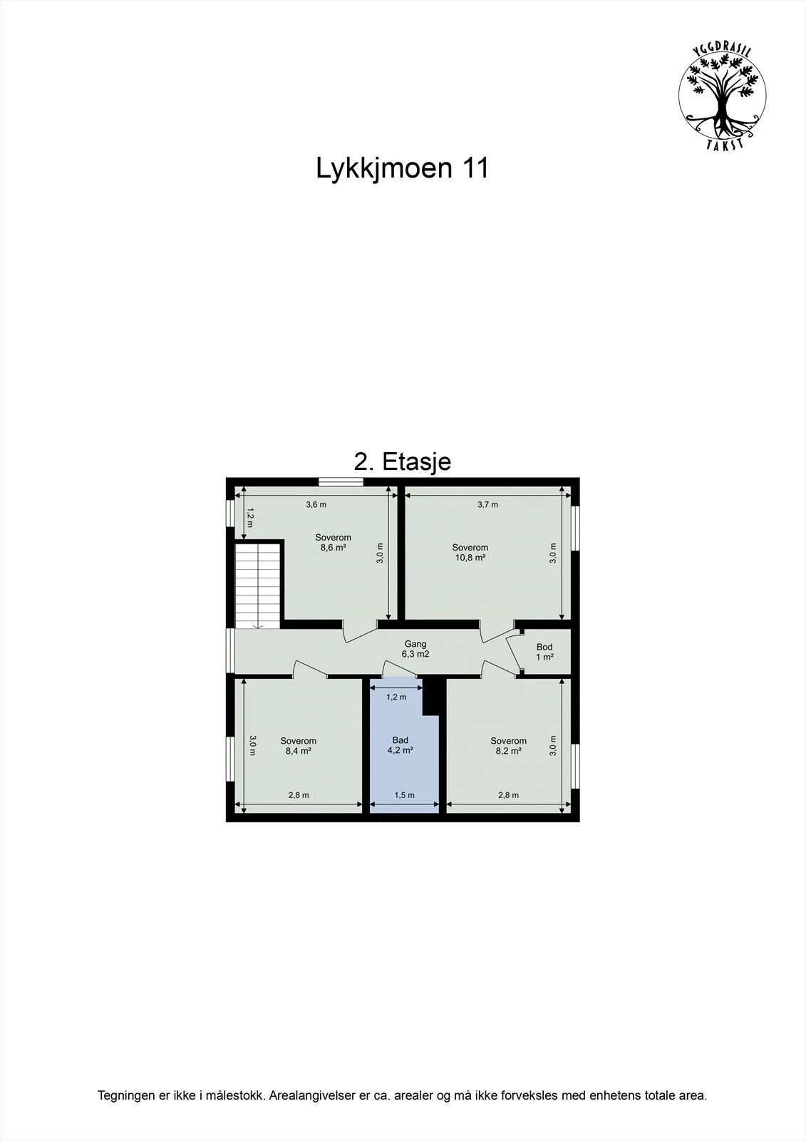 Photo 7