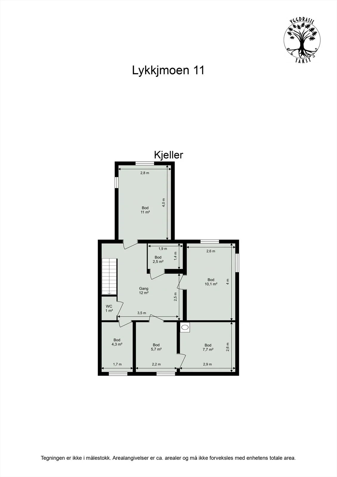 Photo 8