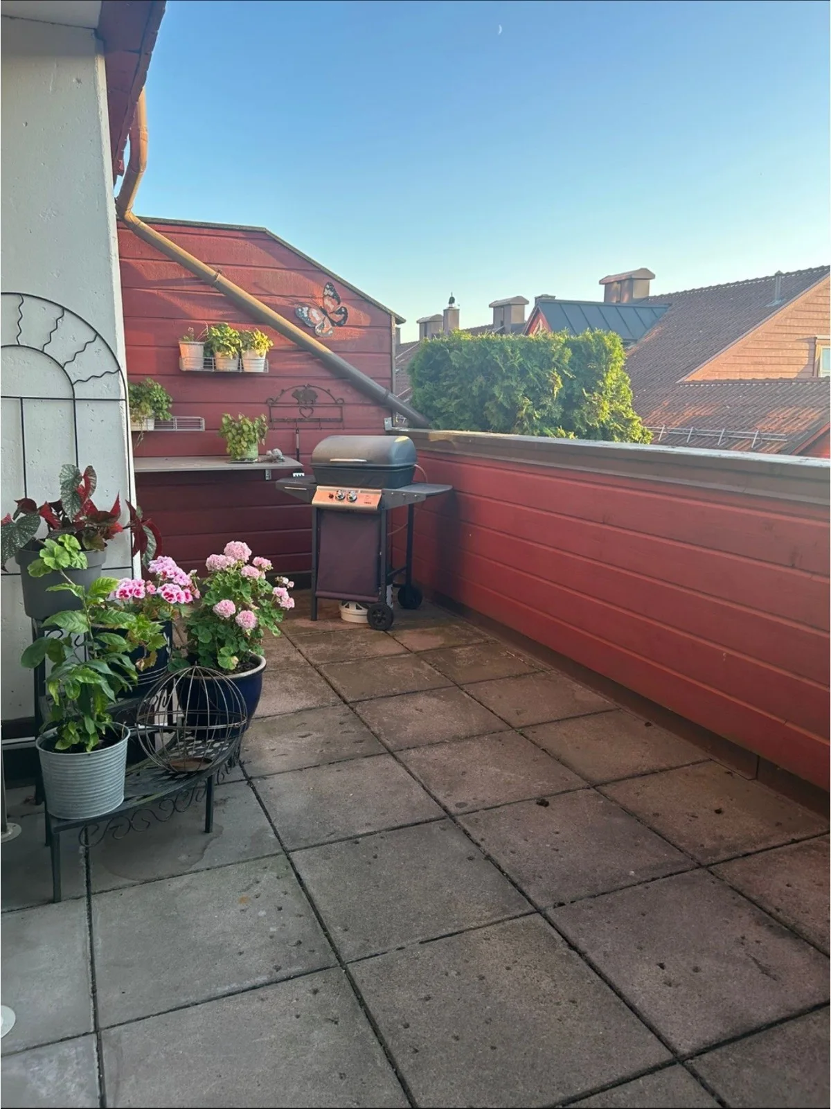 Photo 19