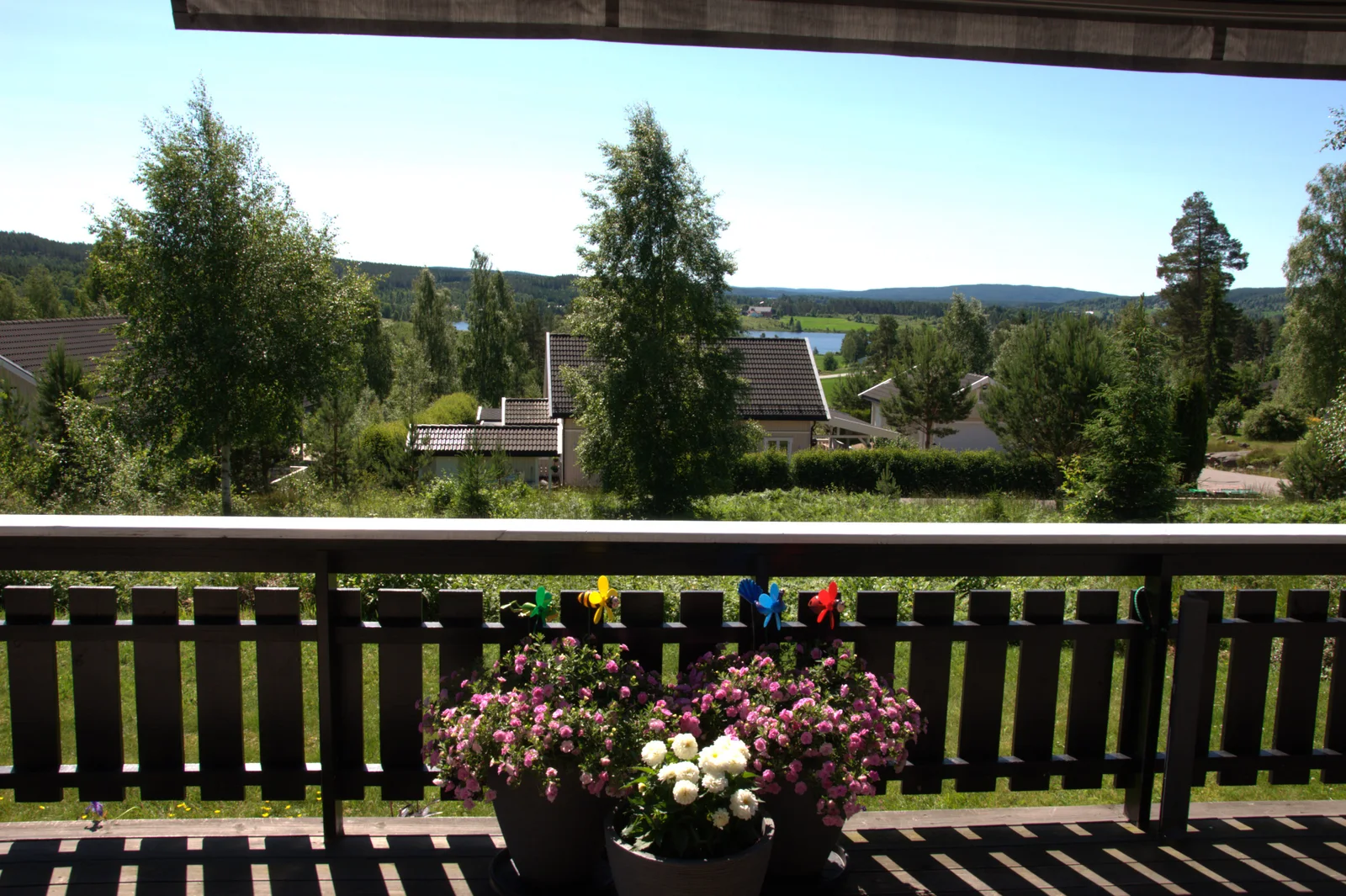 Photo 6
