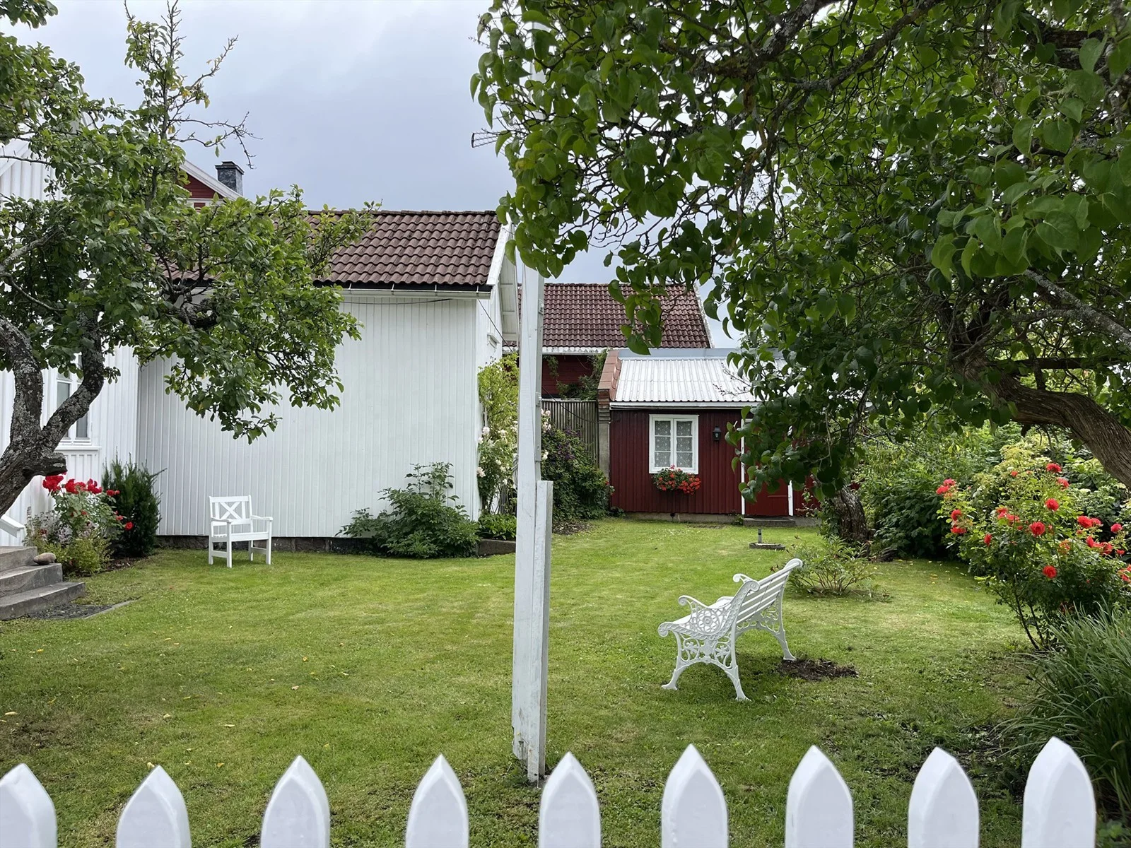Photo 50