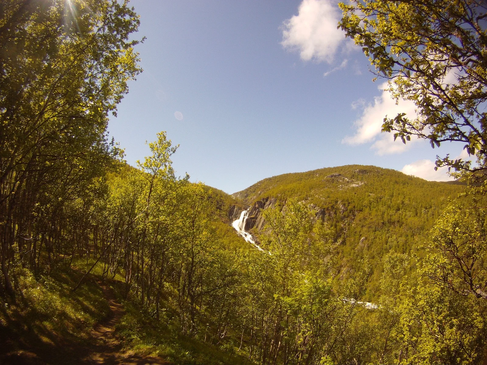 Photo 42