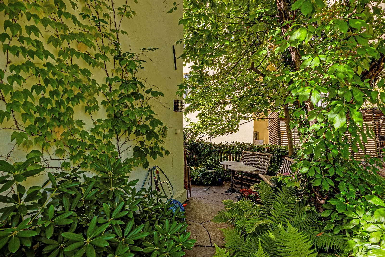 Photo 36