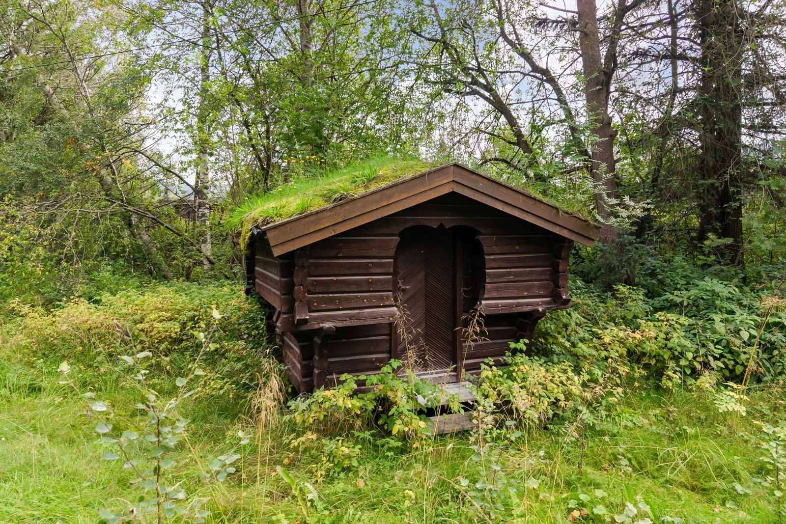 Photo 16