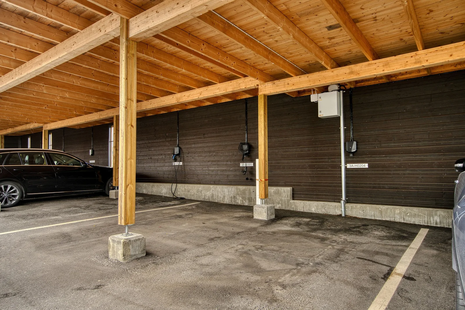 Photo 31