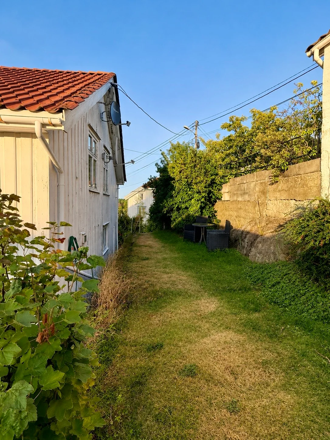 Photo 46