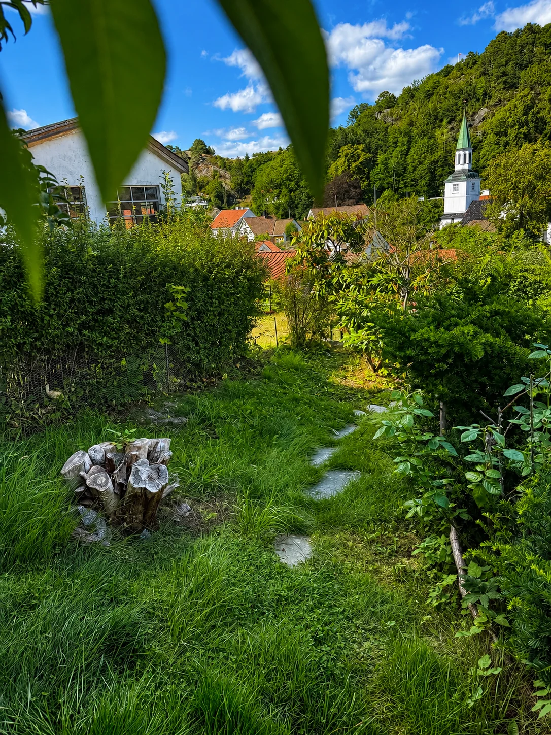 Photo 47