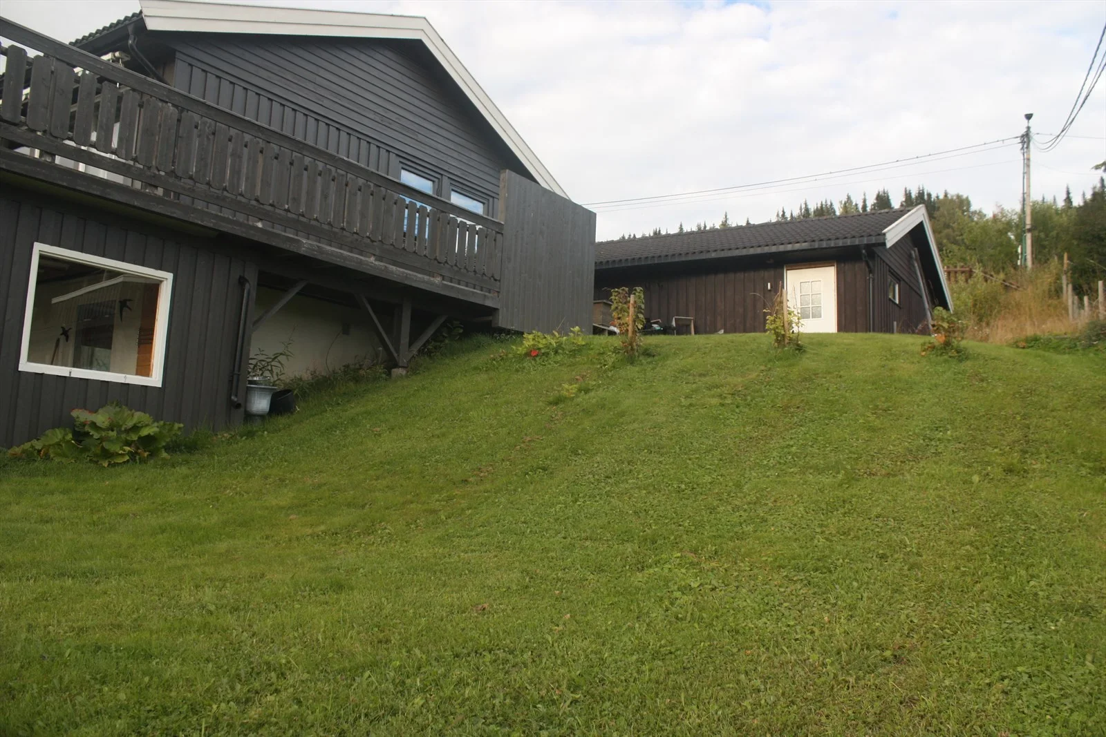 Photo 44