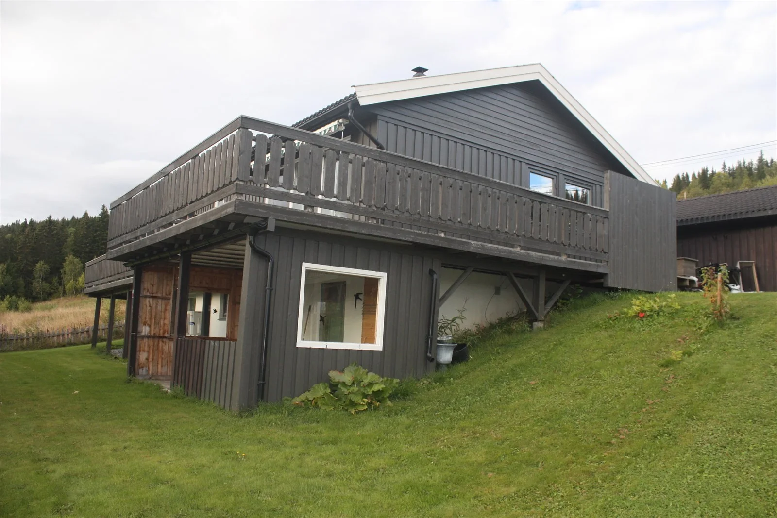 Photo 45