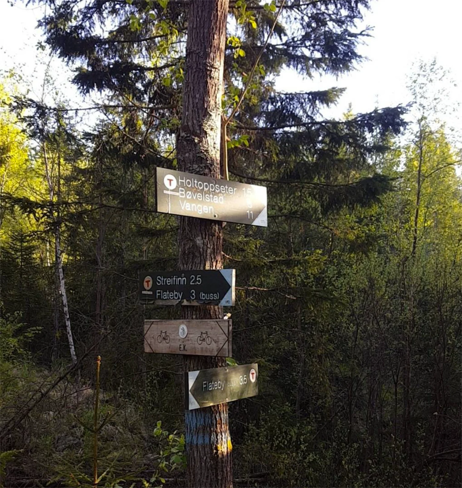 Photo 48