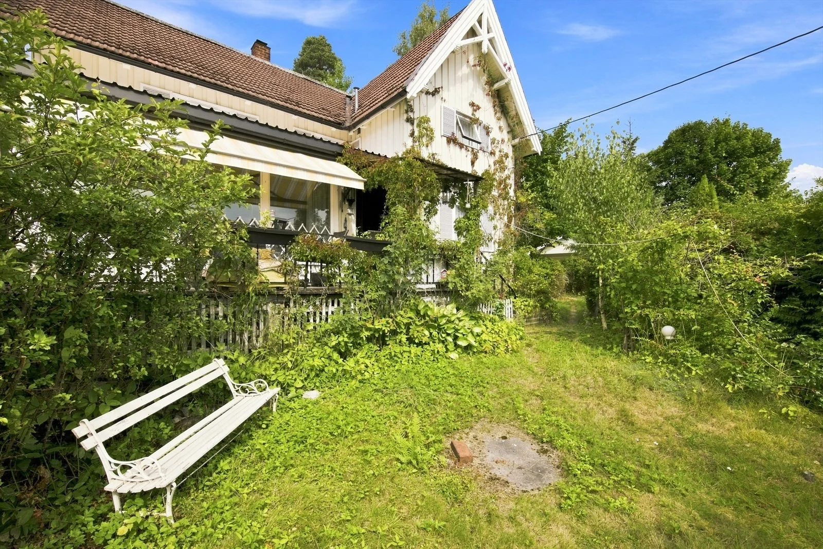 Photo 25