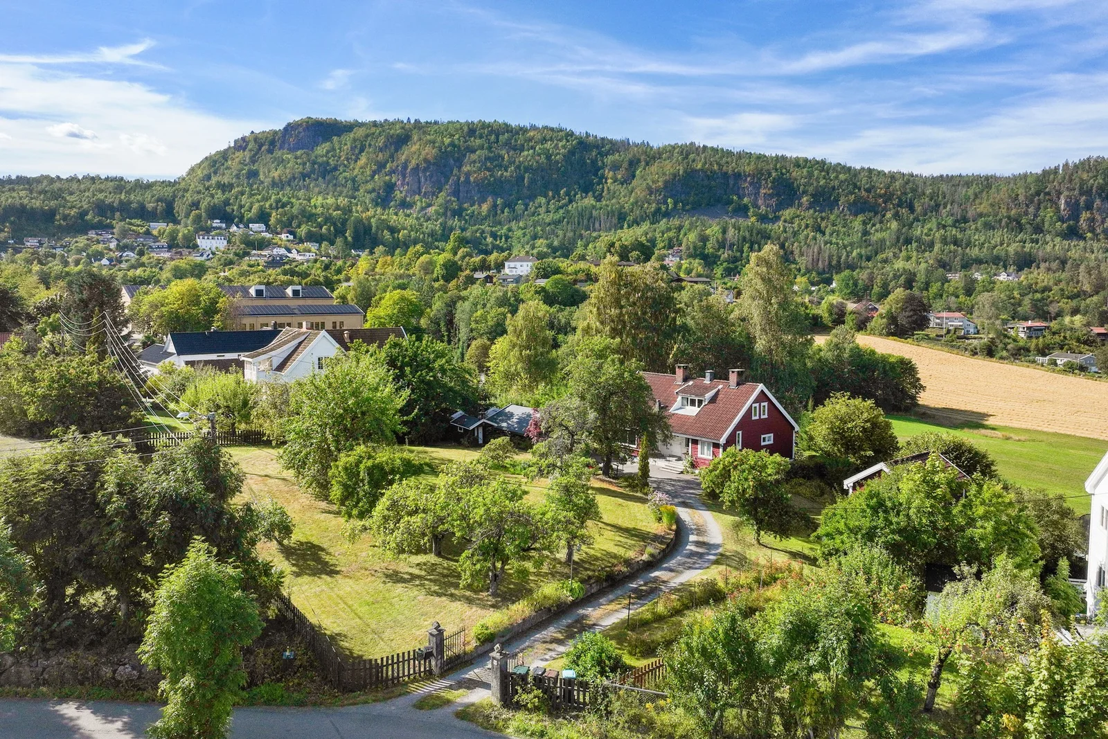 Photo 54