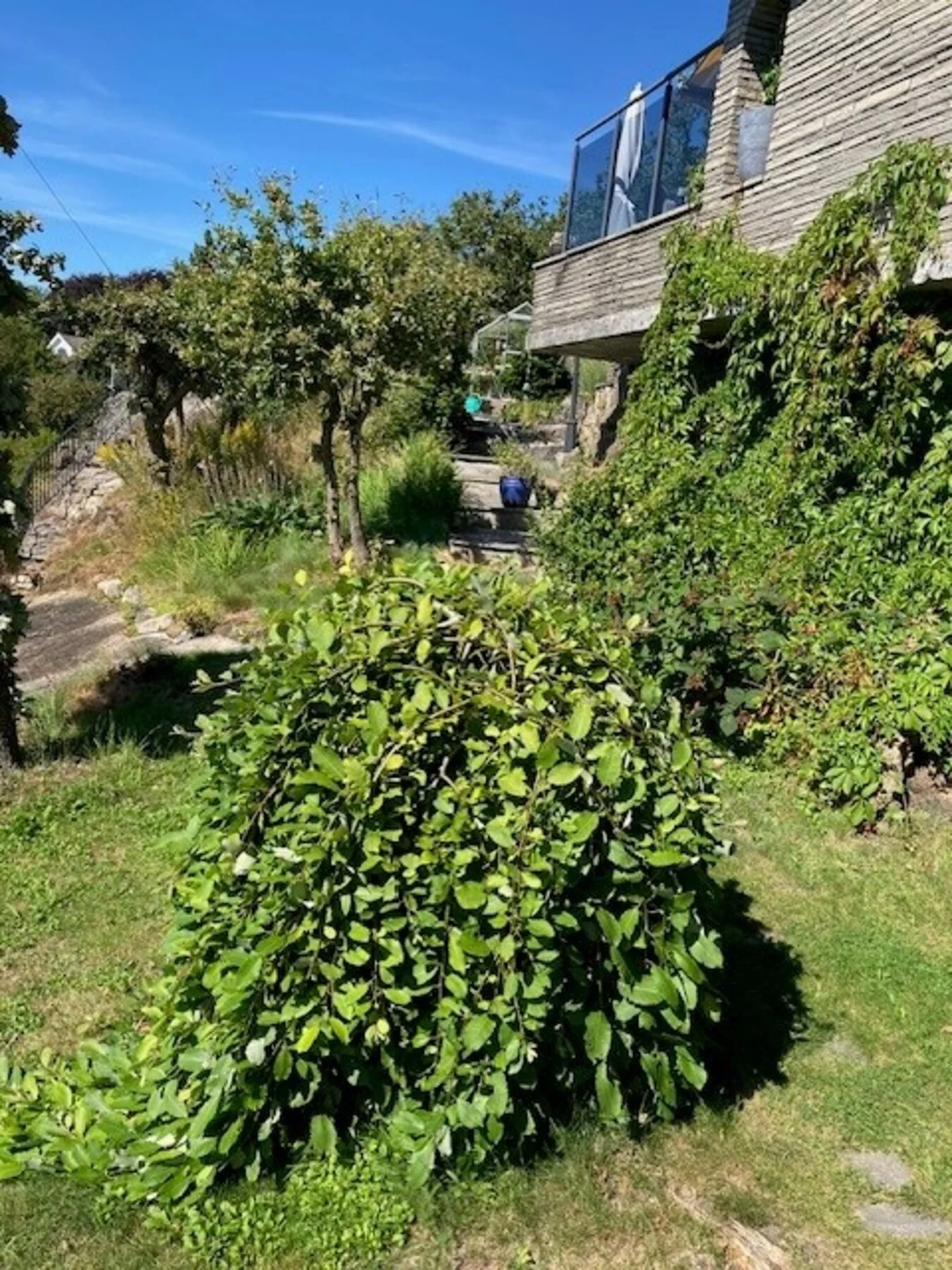 Photo 47