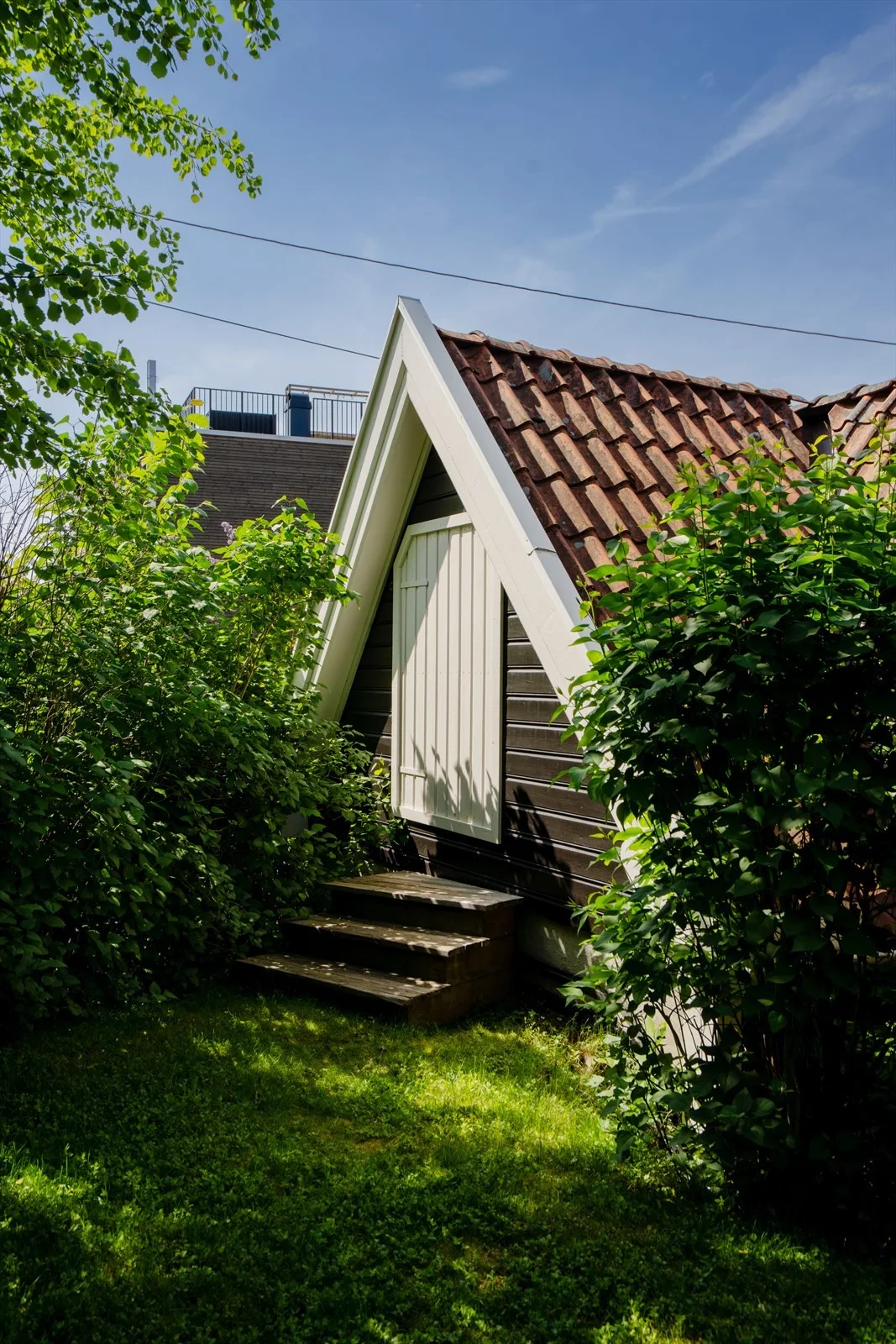 Photo 44