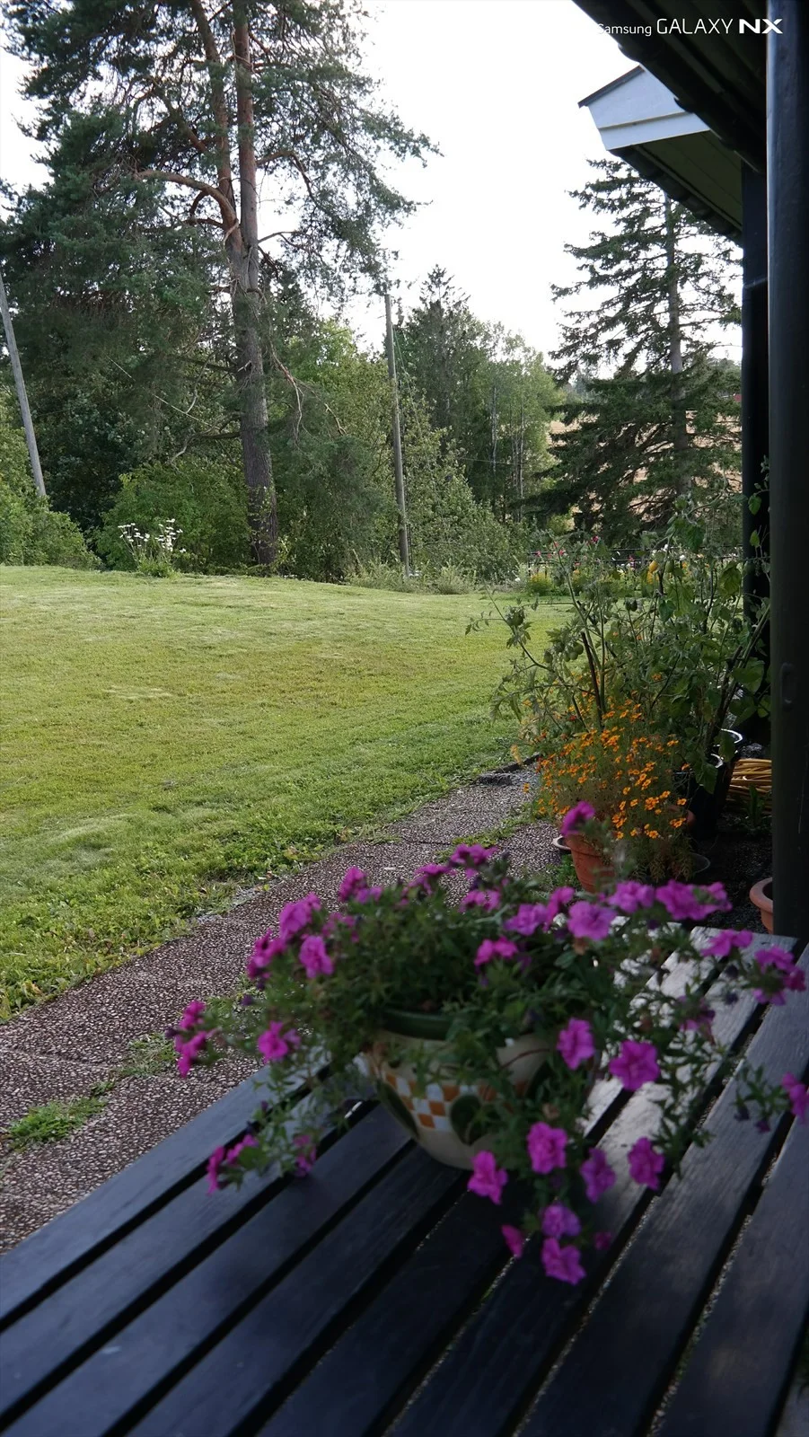 Photo 35