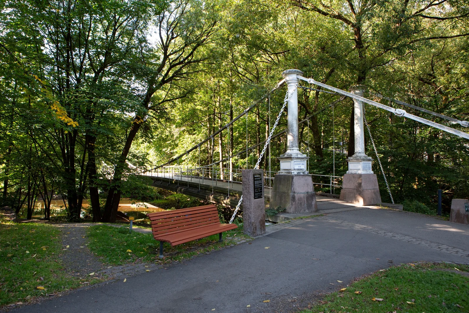Photo 42
