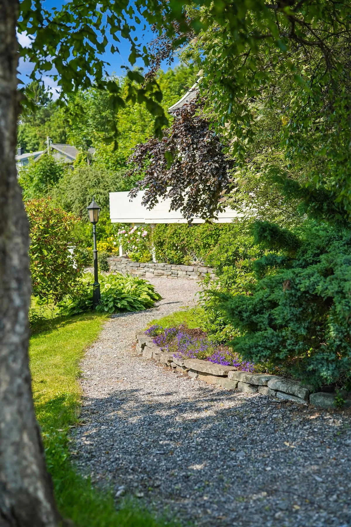 Photo 42