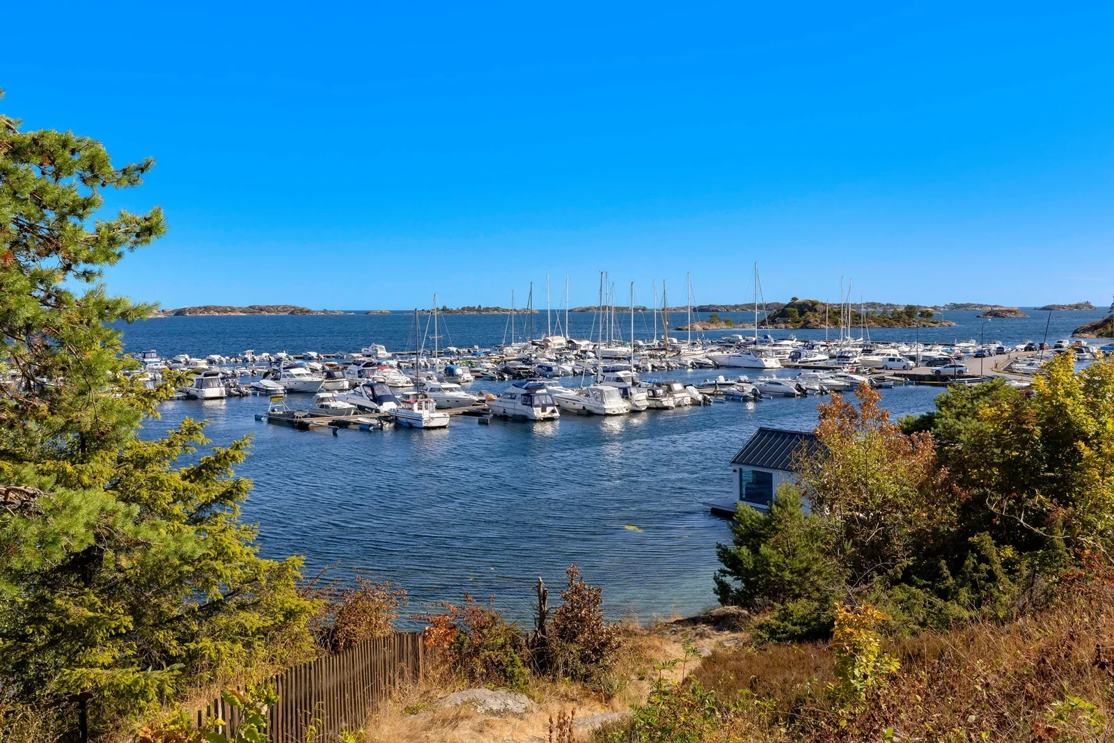 Photo 34