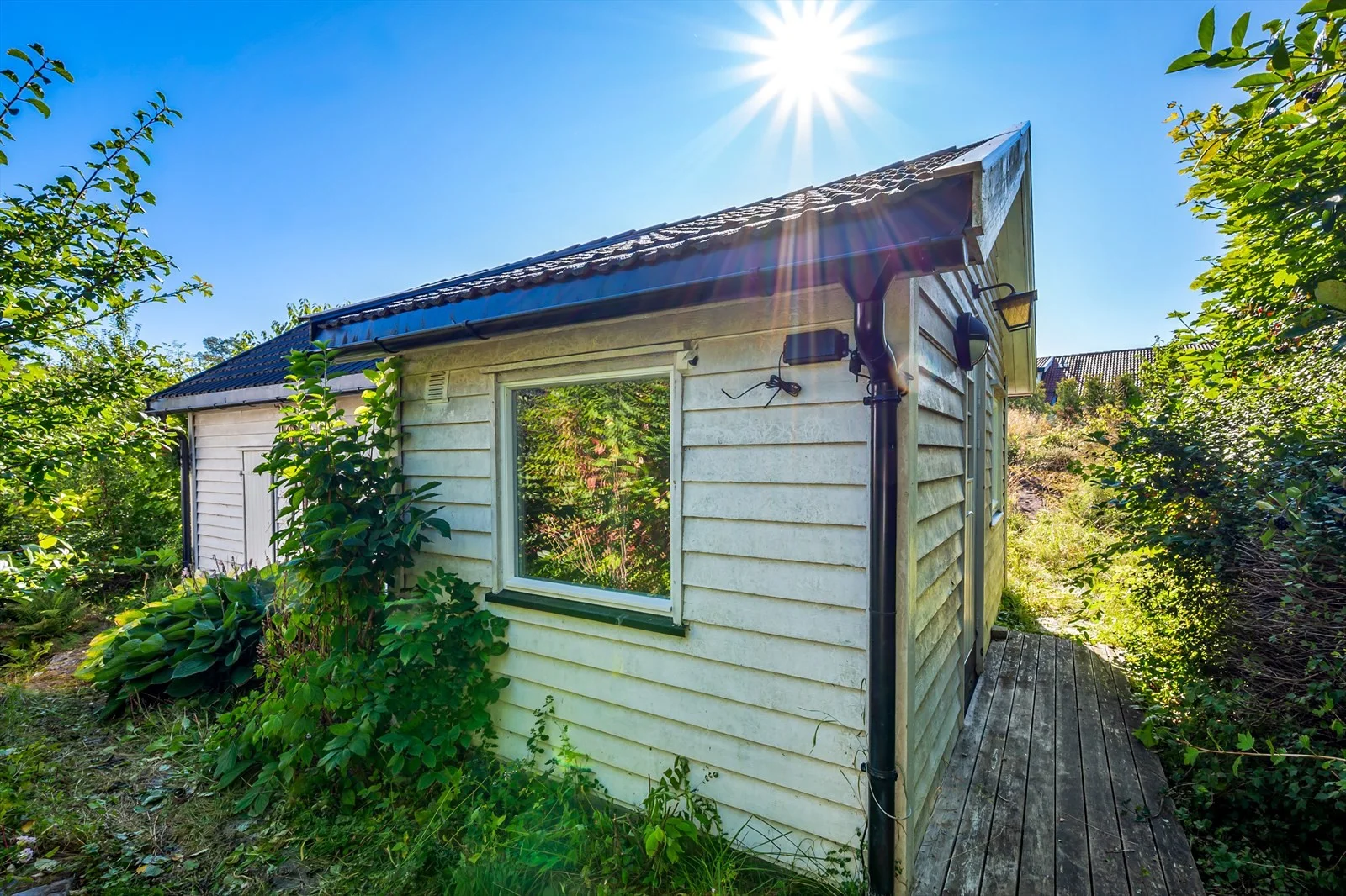 Photo 52