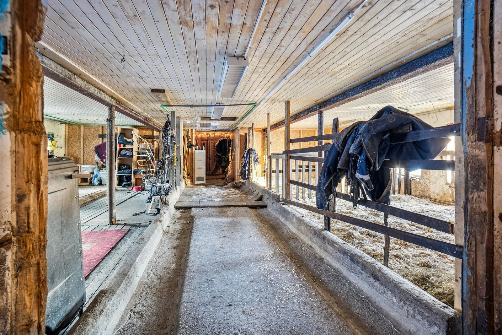Photo 16