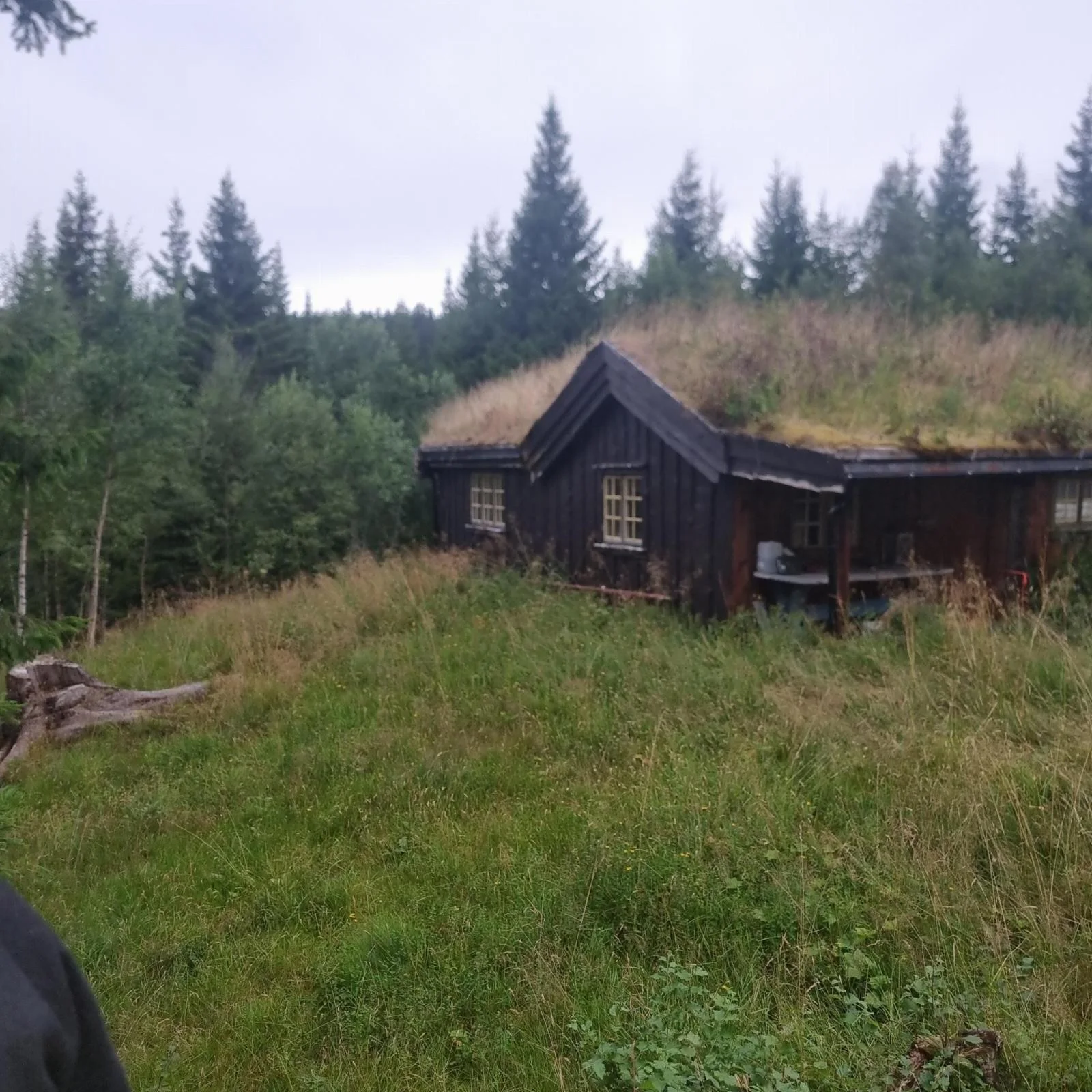 Photo 51