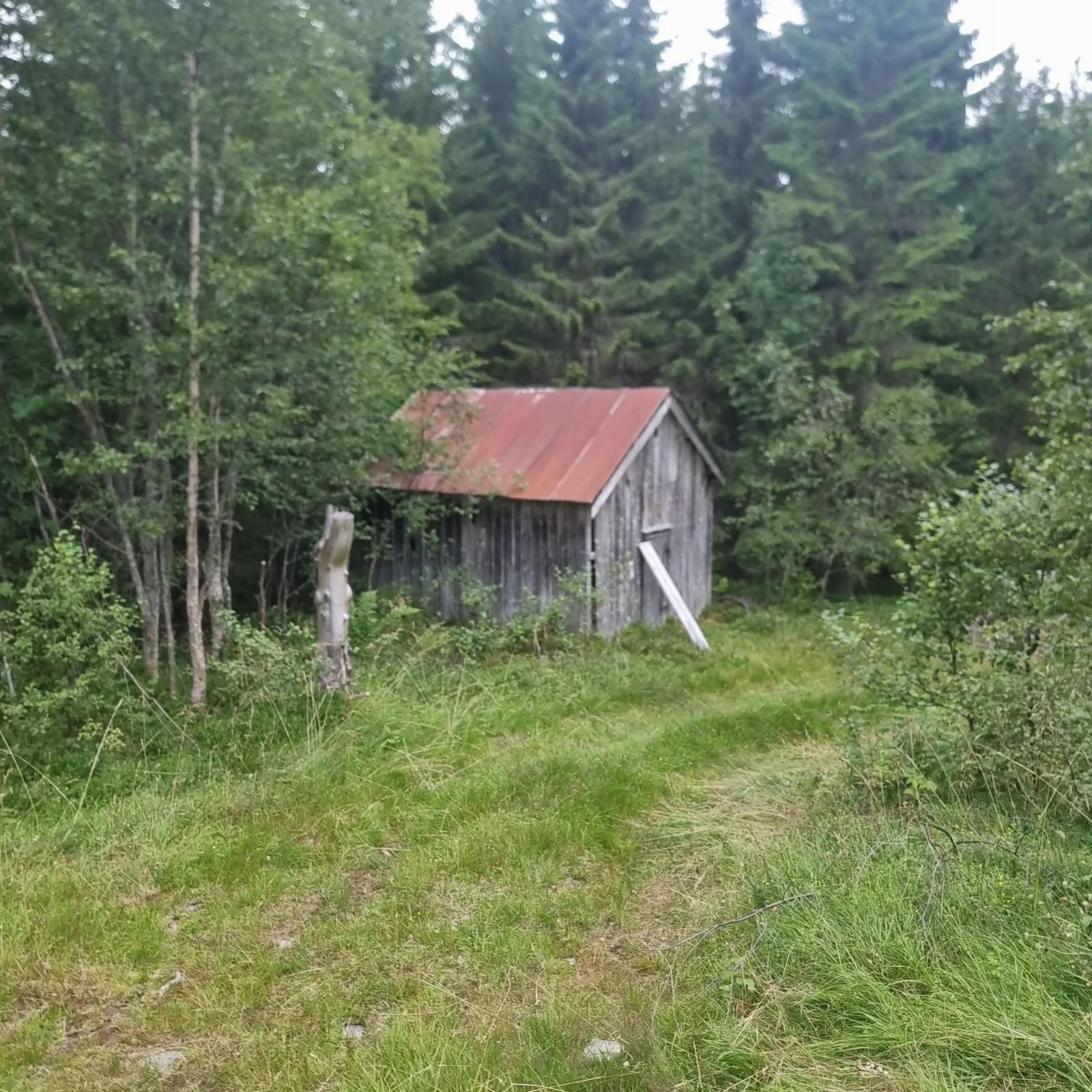 Photo 53