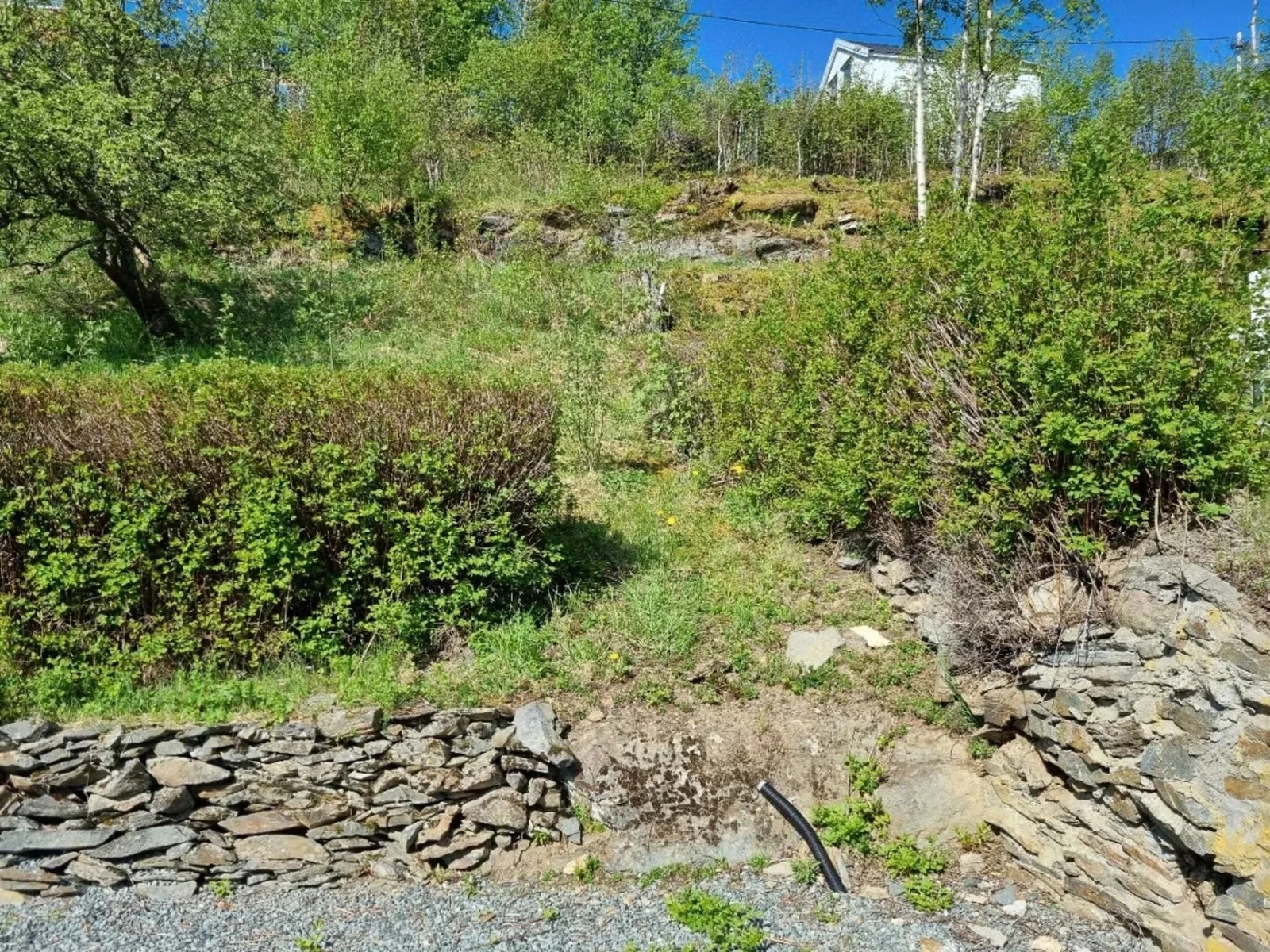 Photo 38