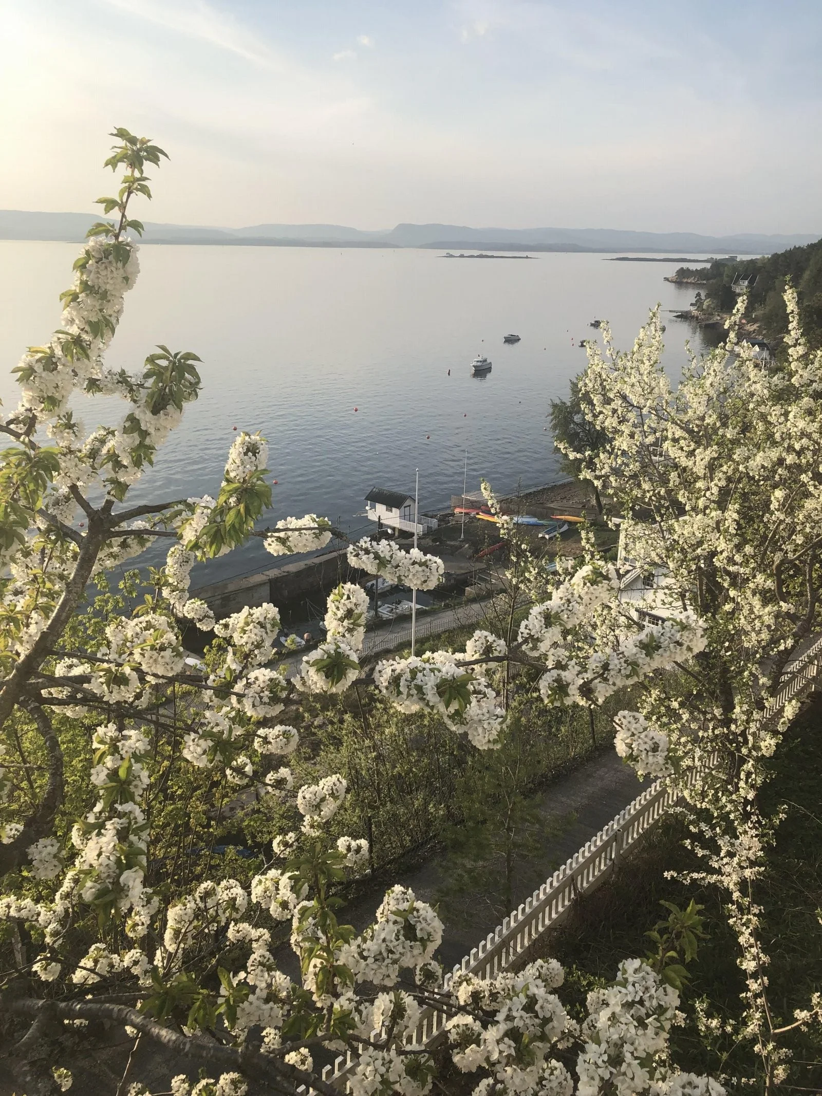 Photo 42