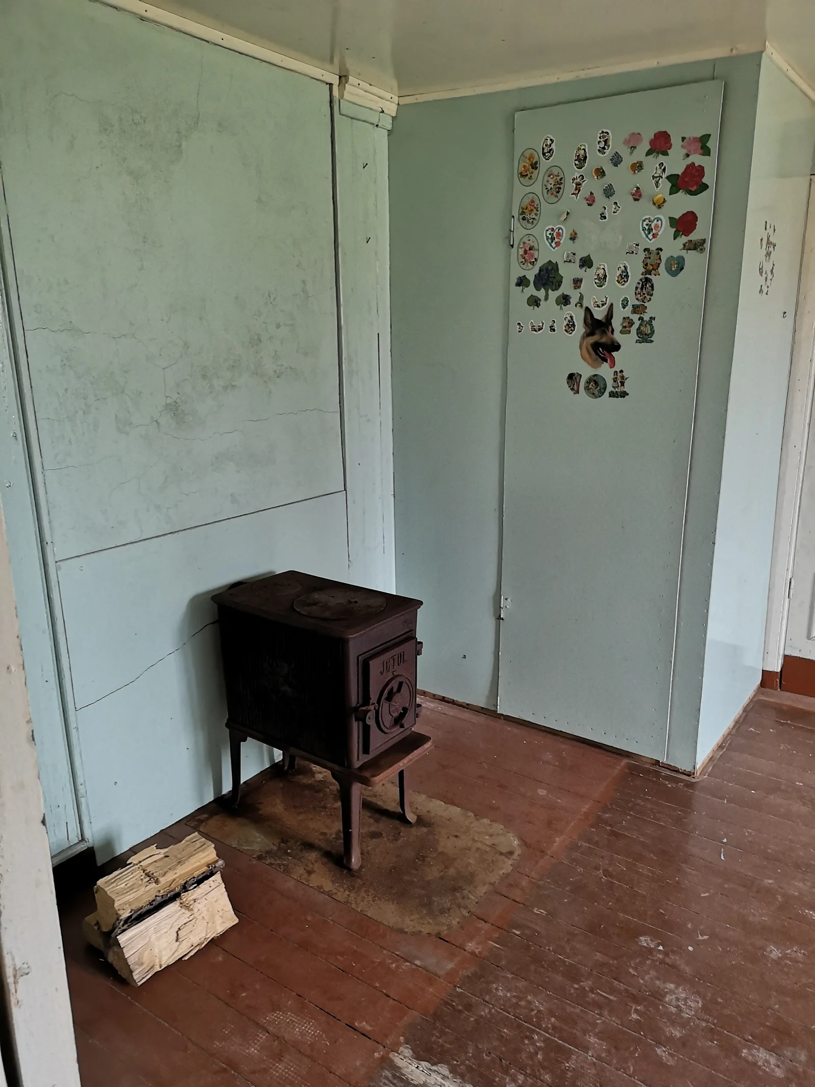 Photo 41
