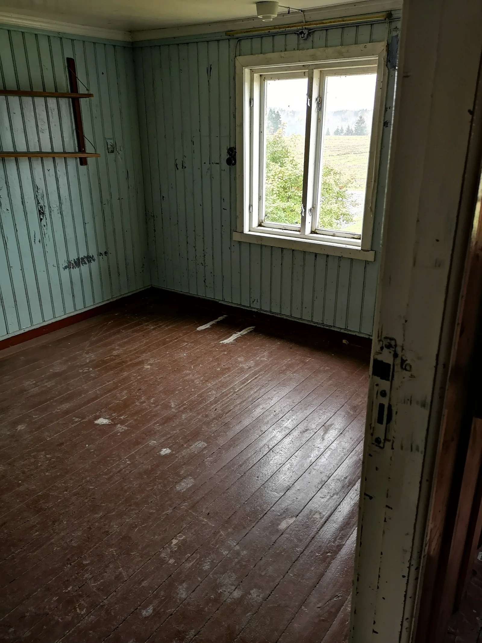 Photo 42