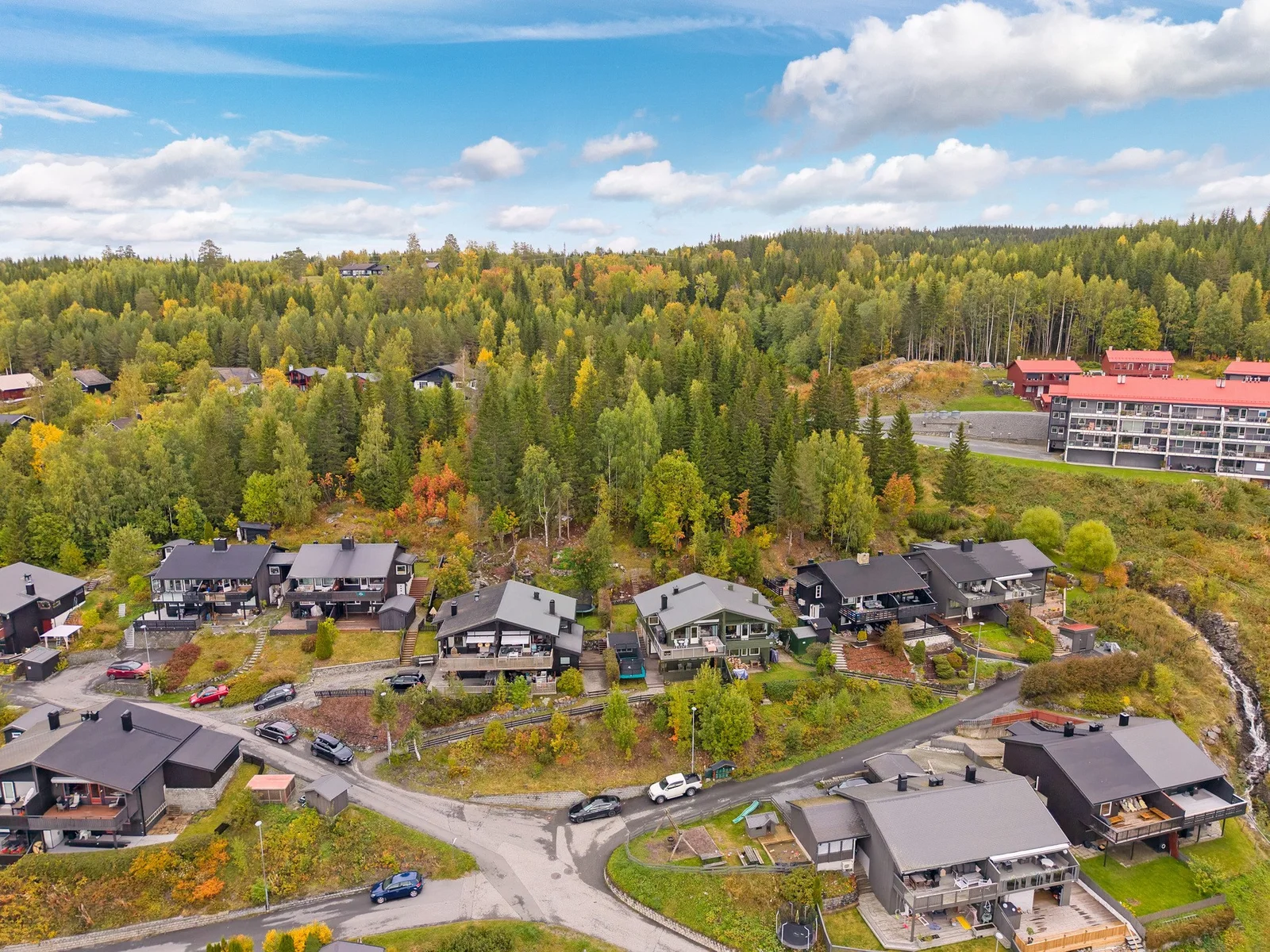 Photo 51