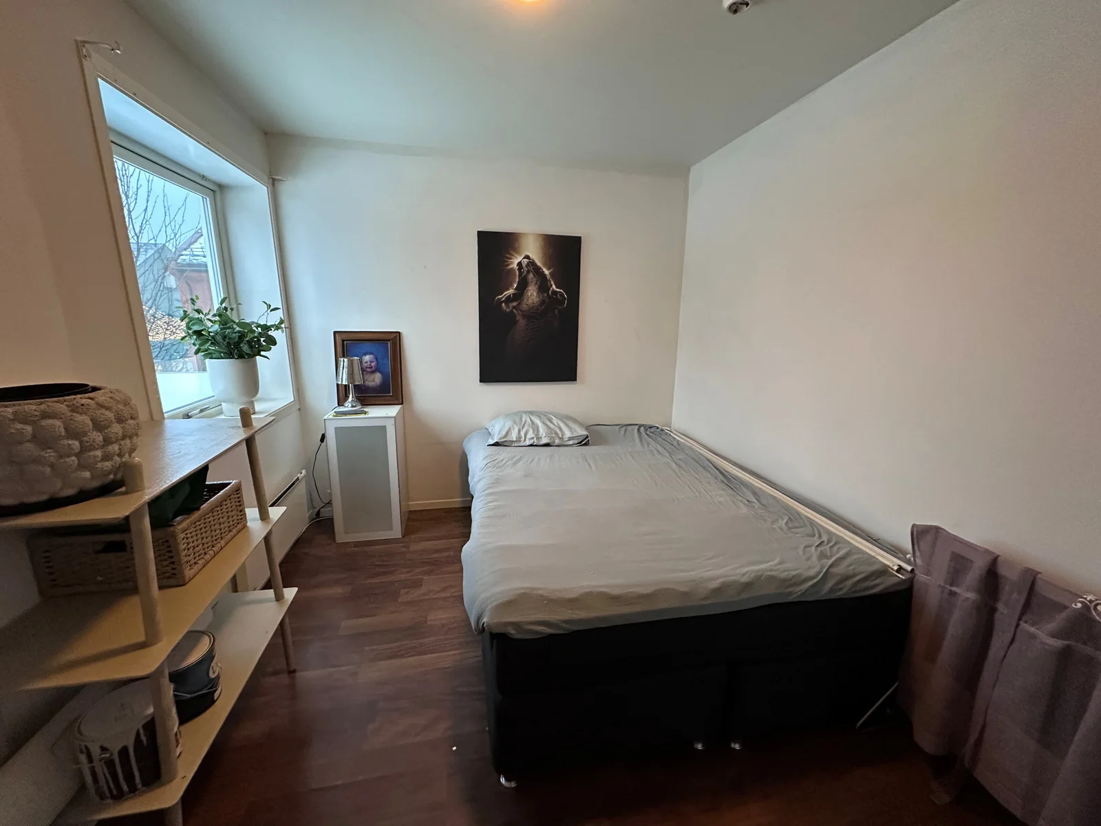 Photo 14