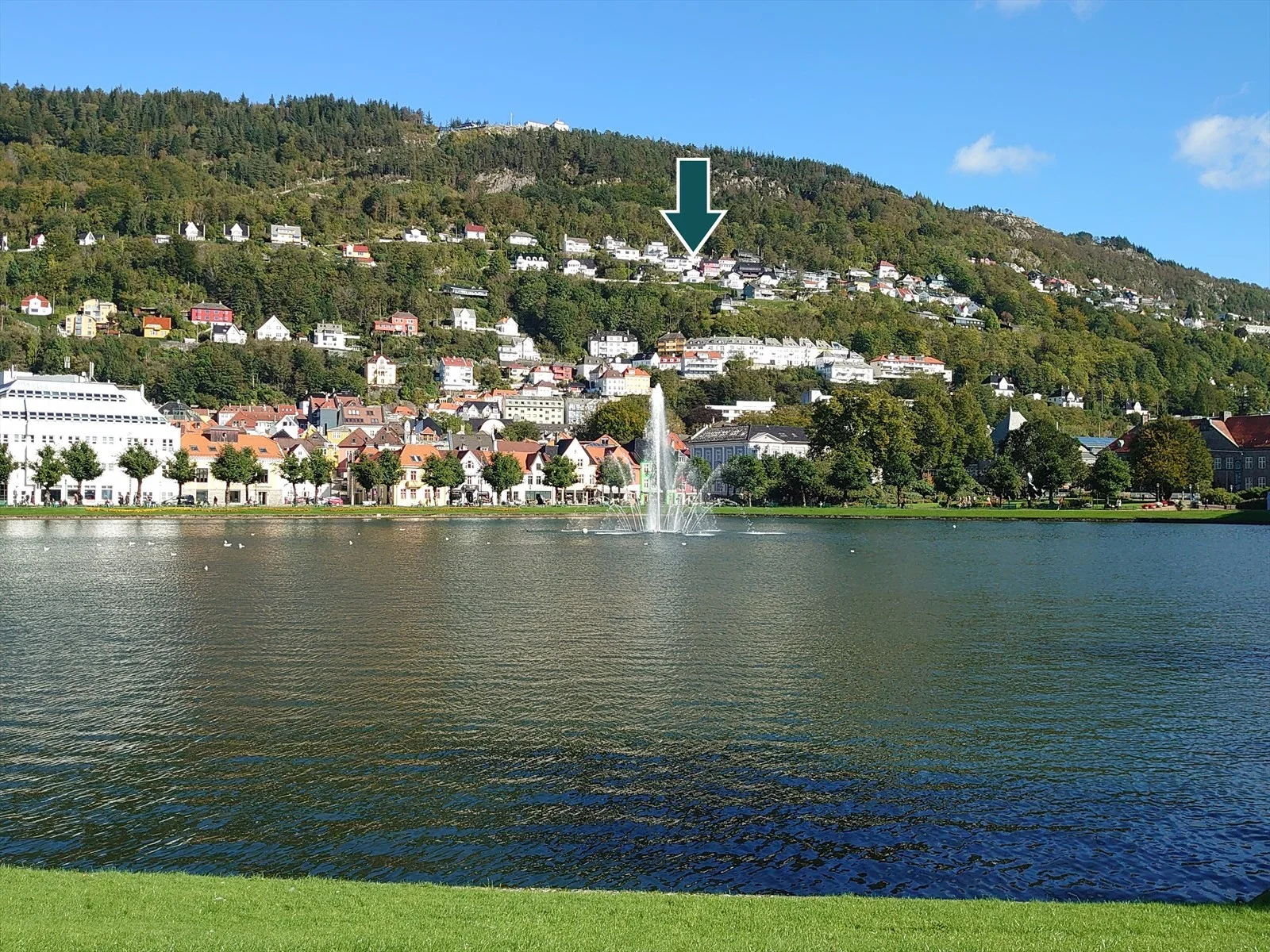 Photo 3
