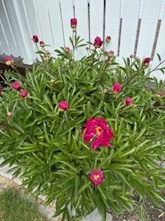 Photo 34
