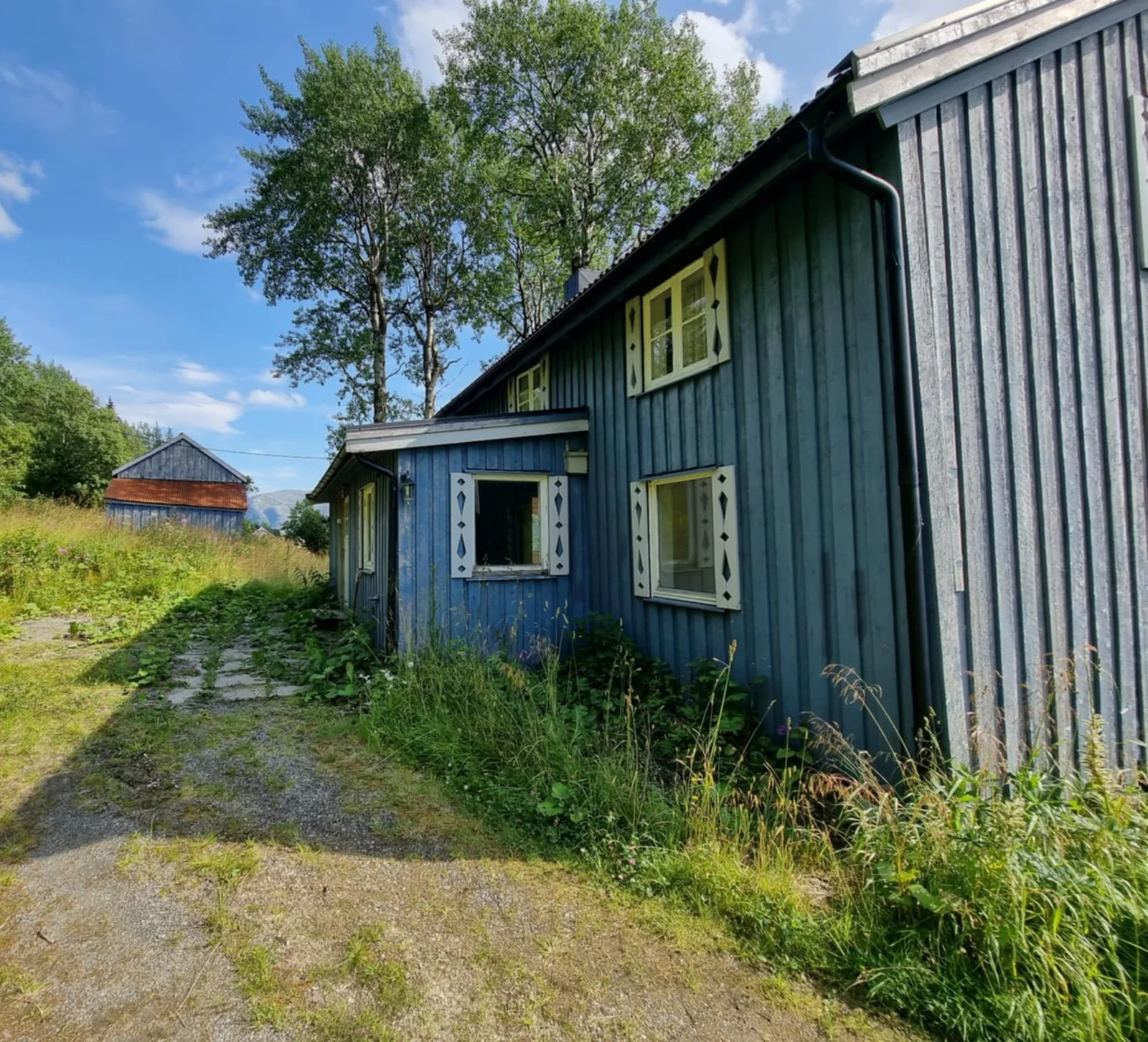 Photo 10