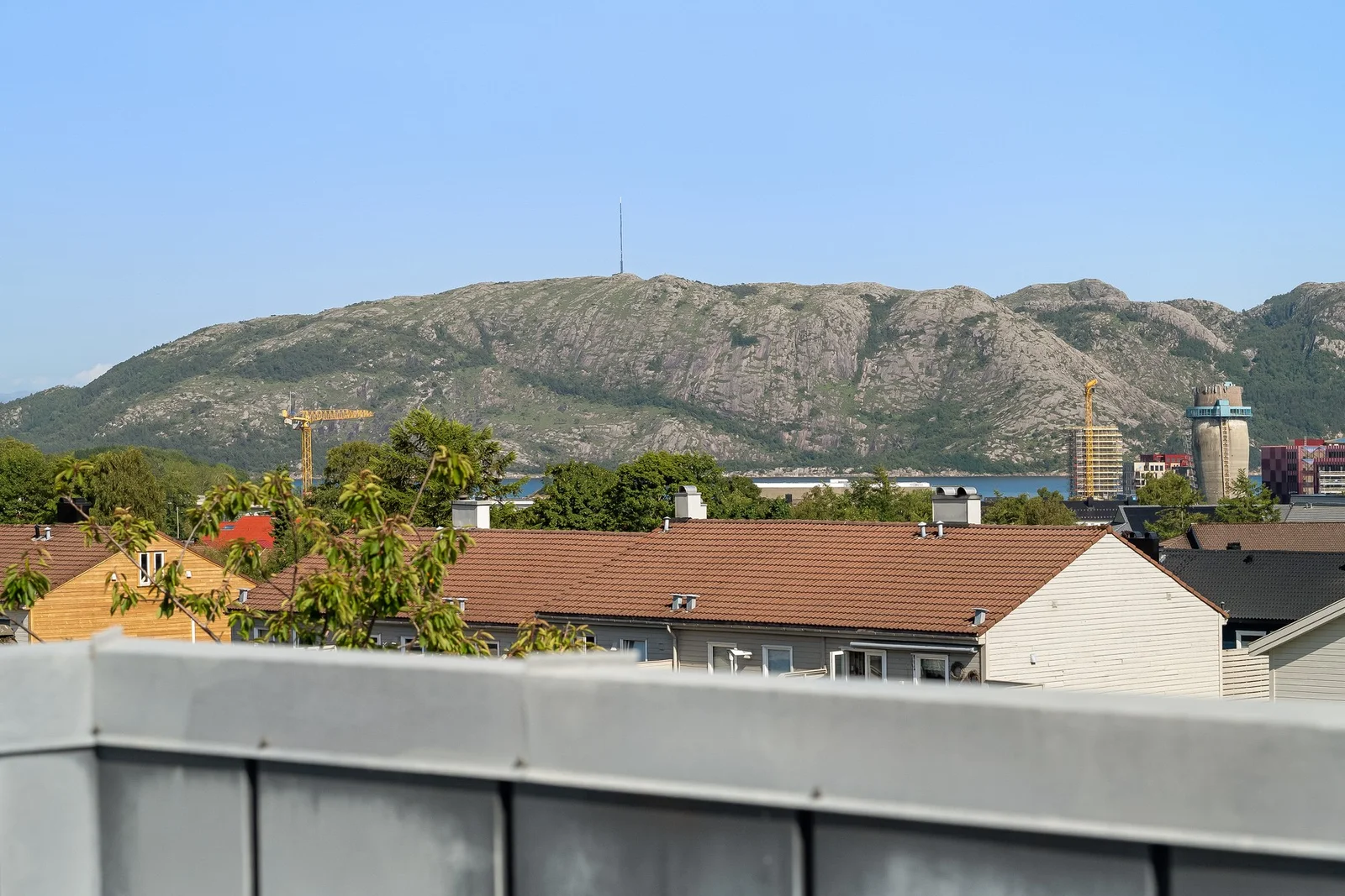 Photo 20