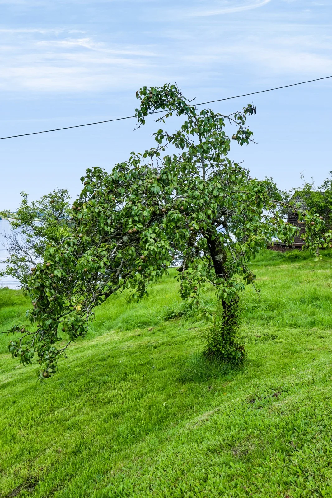 Photo 45