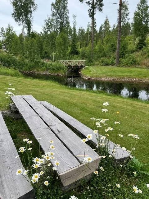 Photo 39