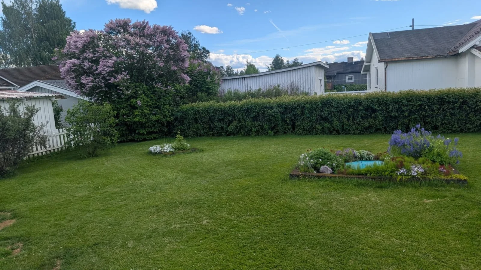 Photo 31