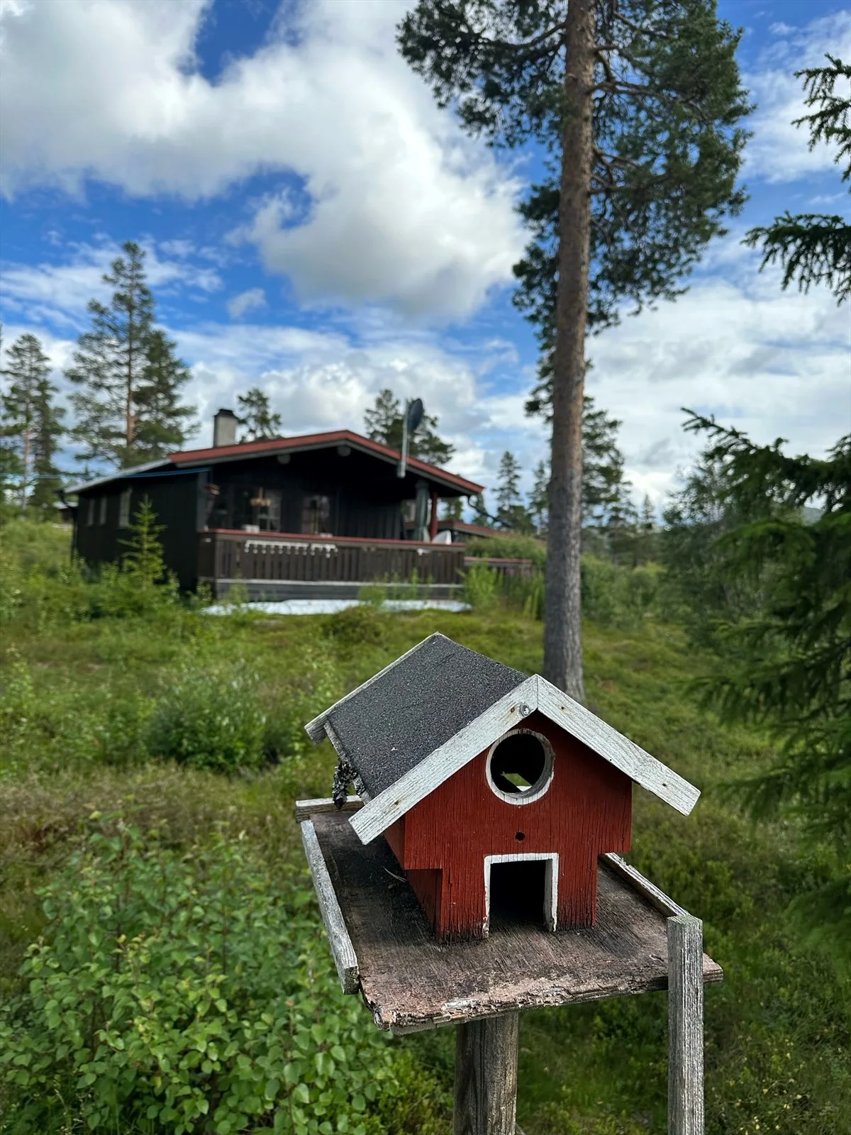 Photo 33