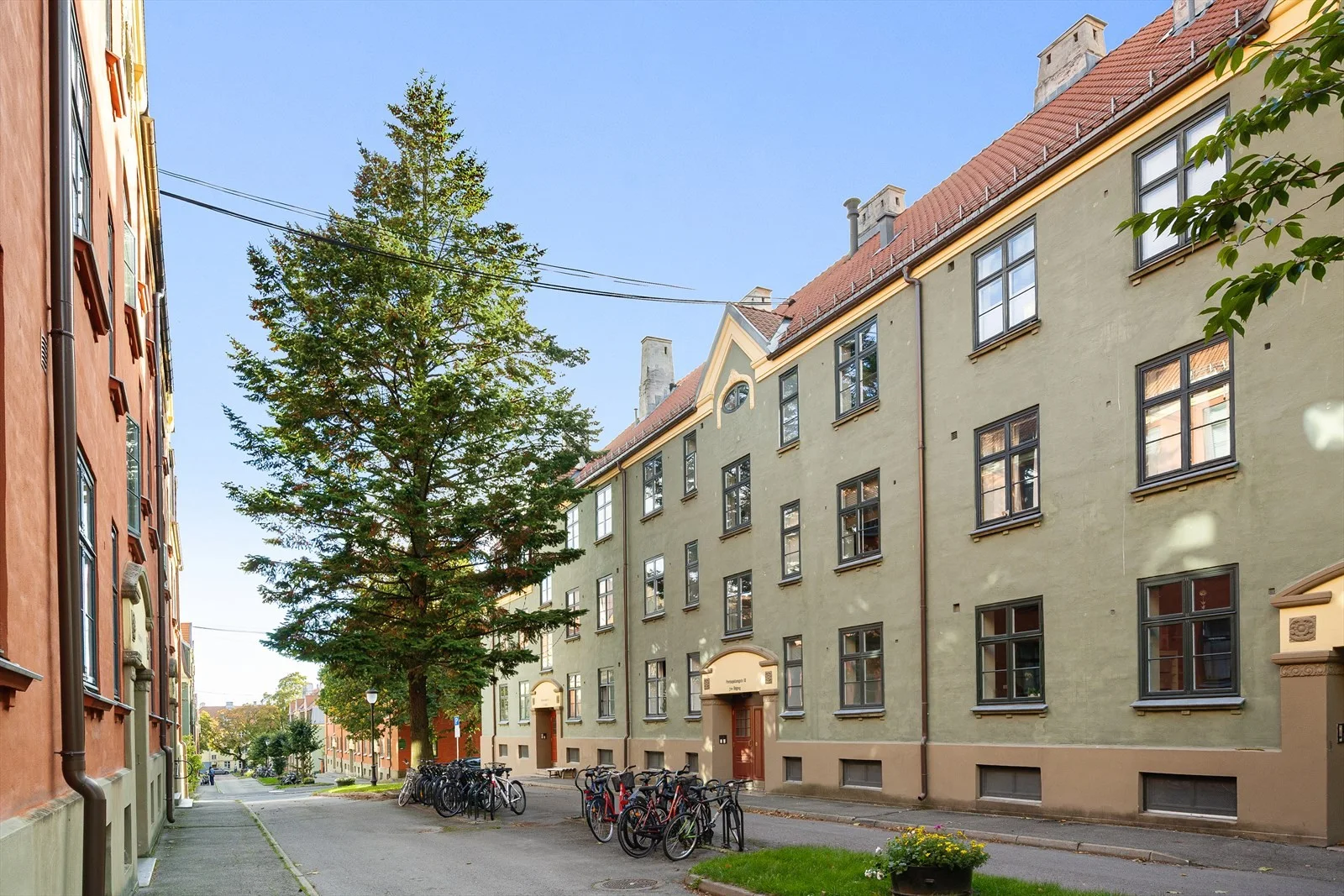 Photo 21