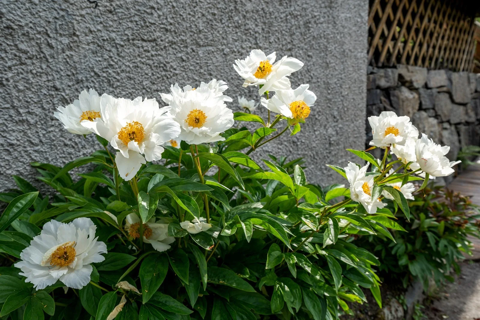 Photo 49