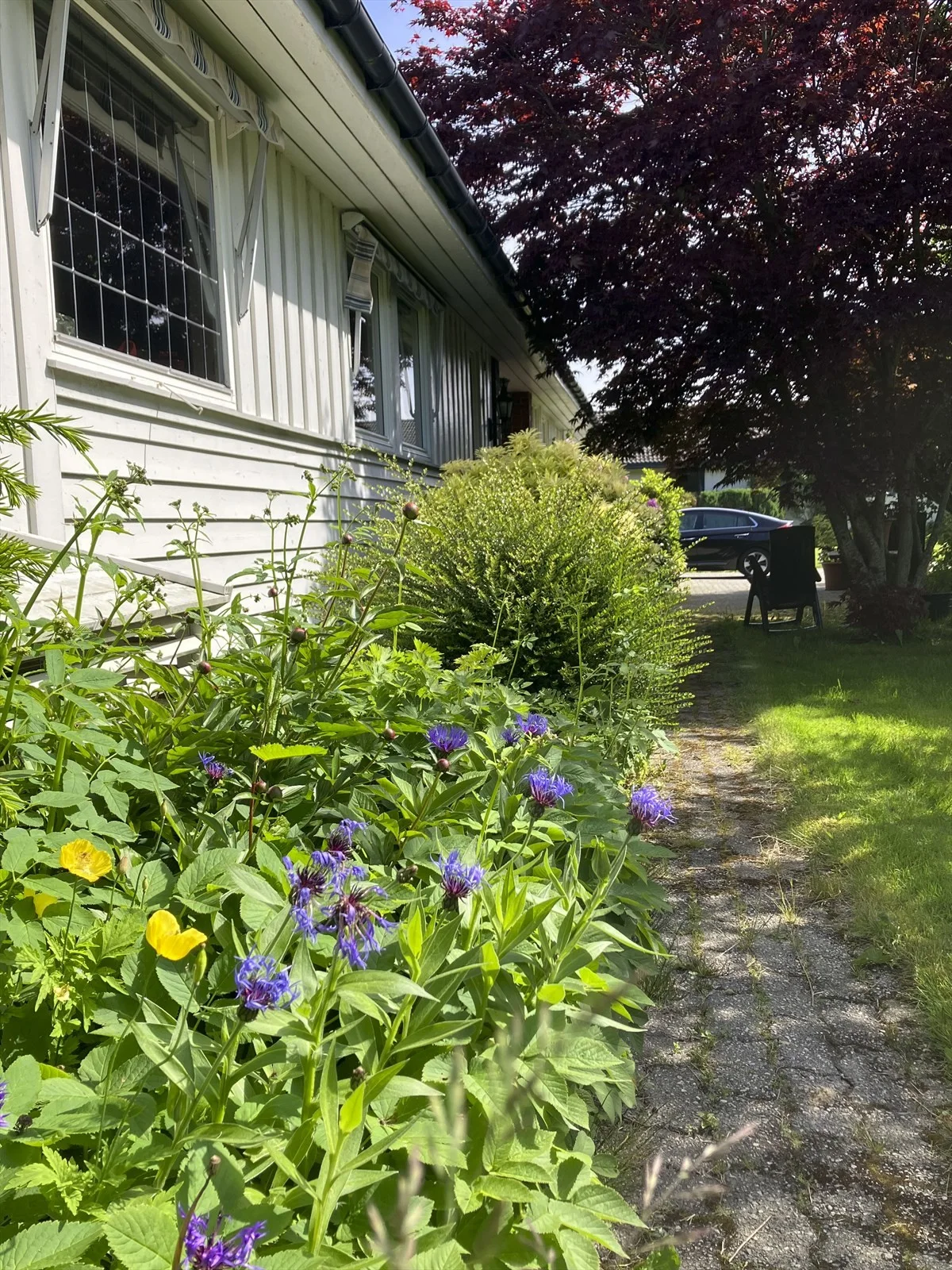 Photo 23