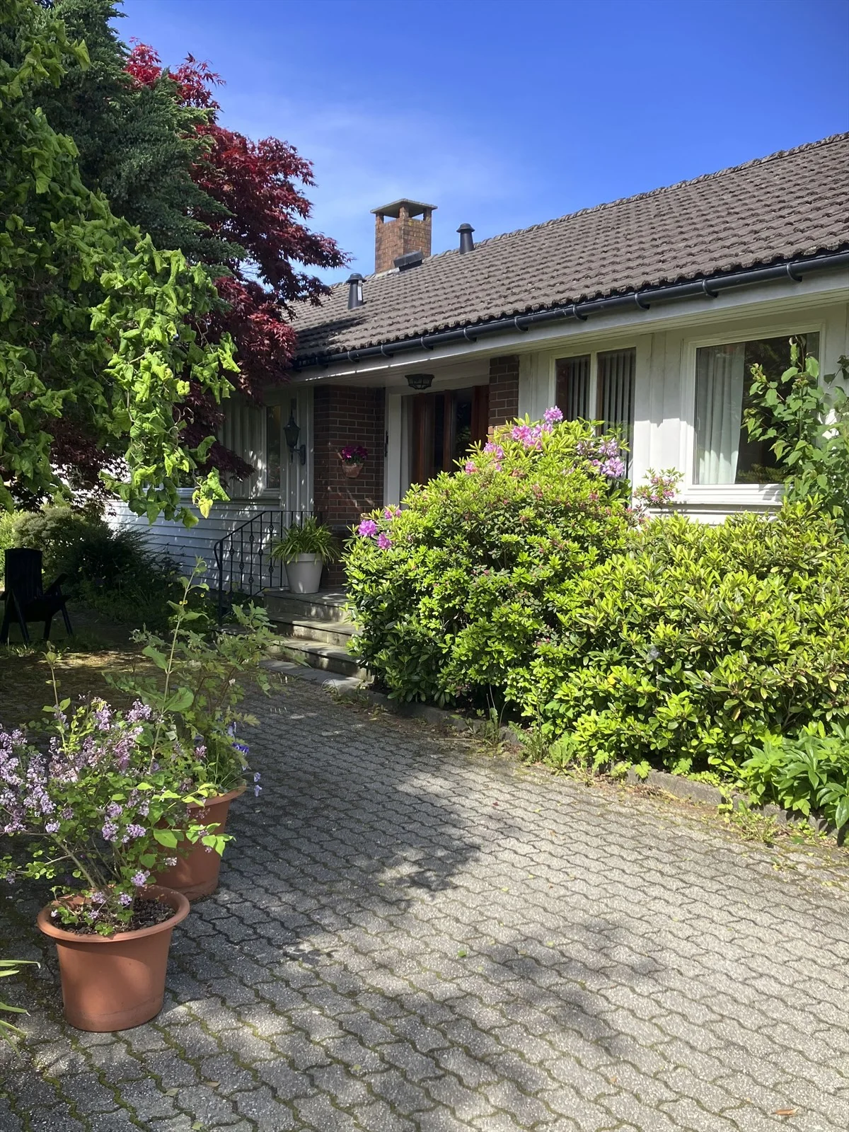 Photo 26